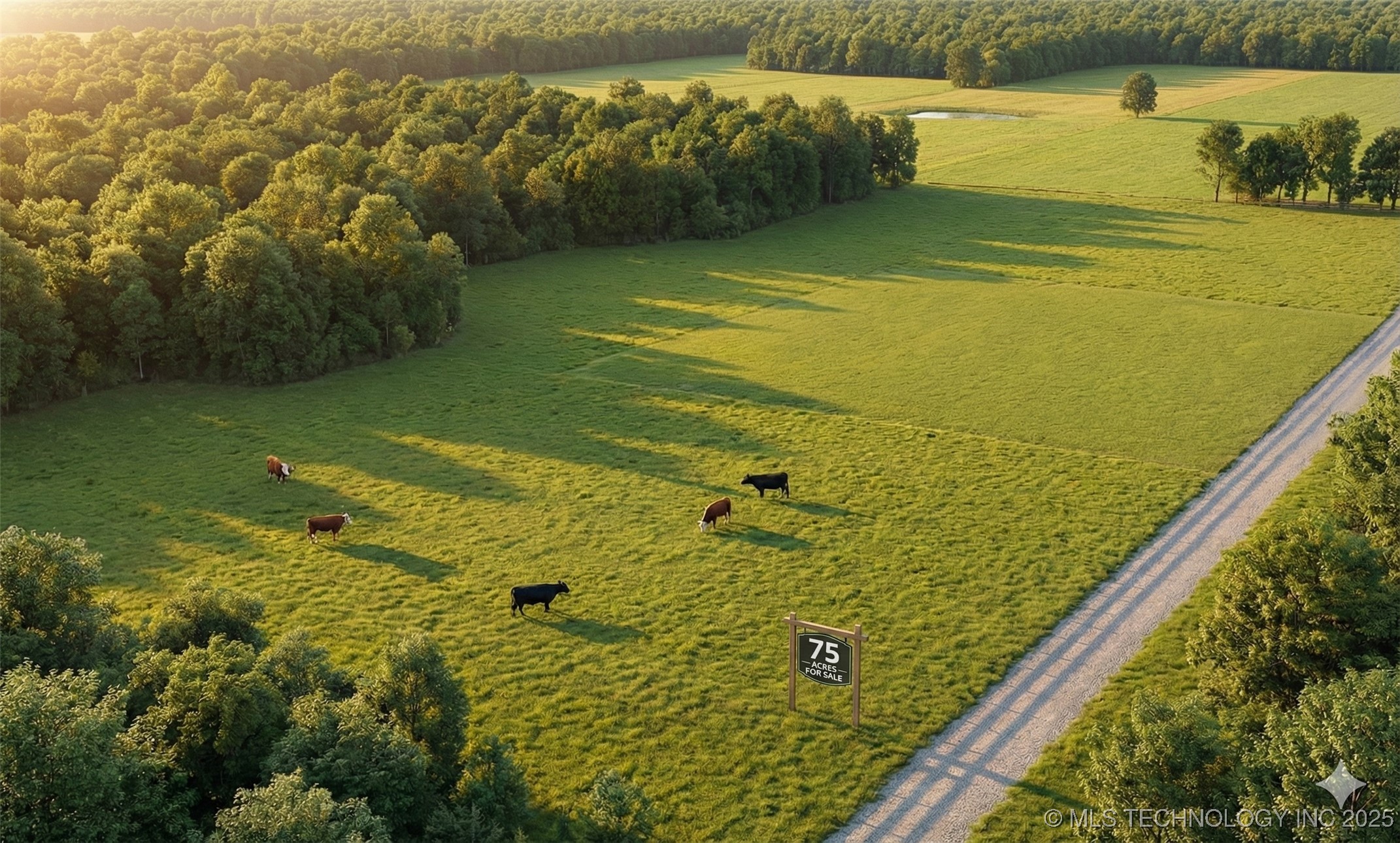 0075 S Timberline Property Photo 1