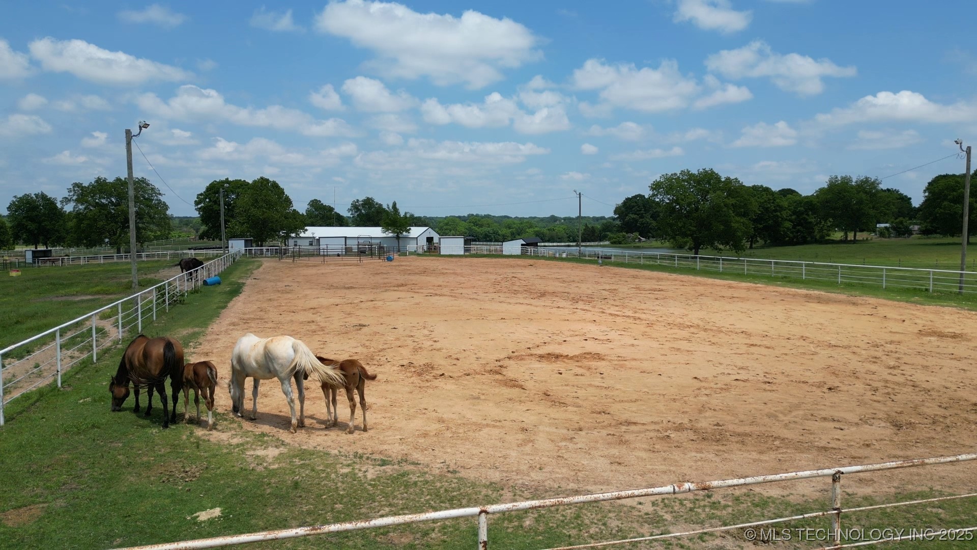 10815 State Hwy 19 Property Photo 58