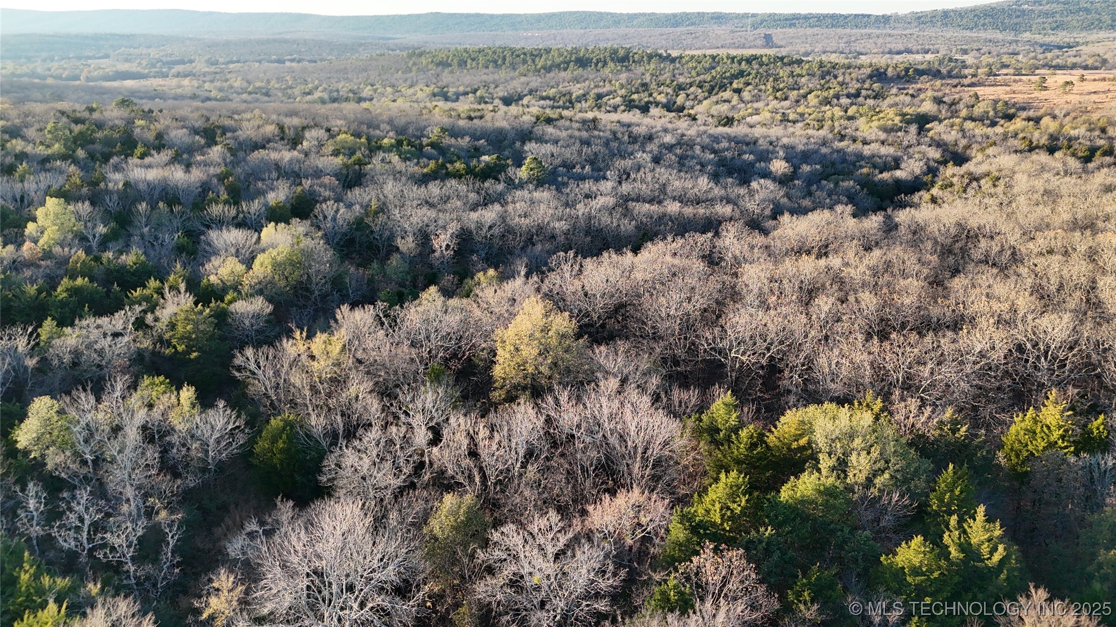 2874 Se 150 Road Property Photo 47