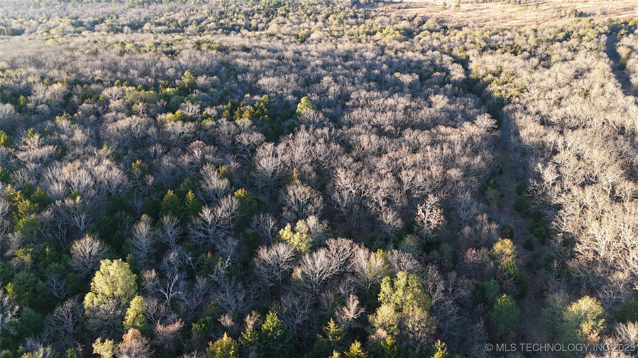 2874 Se 150 Road Property Photo 49