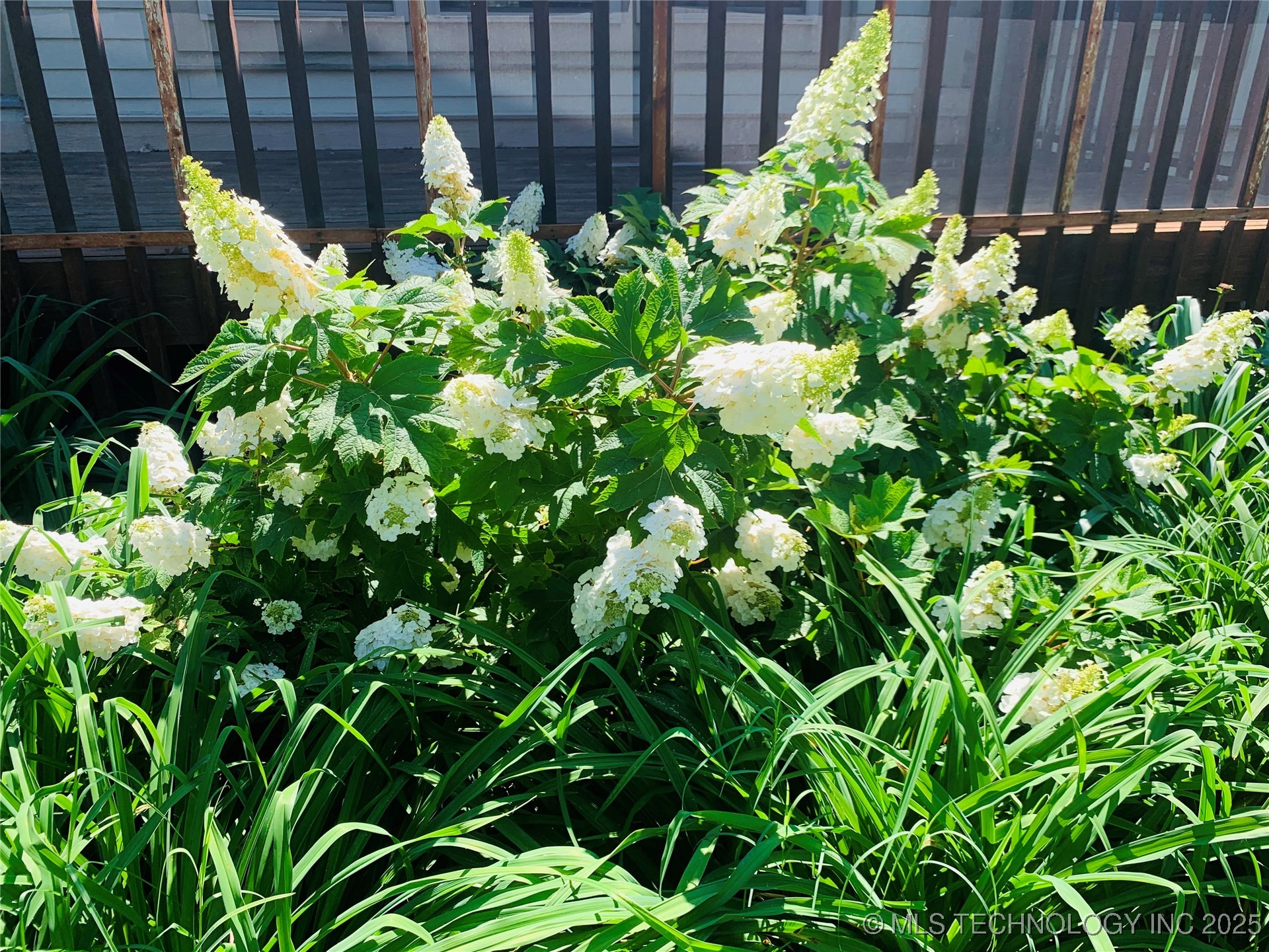 171 Homestead Drive Property Photo 15