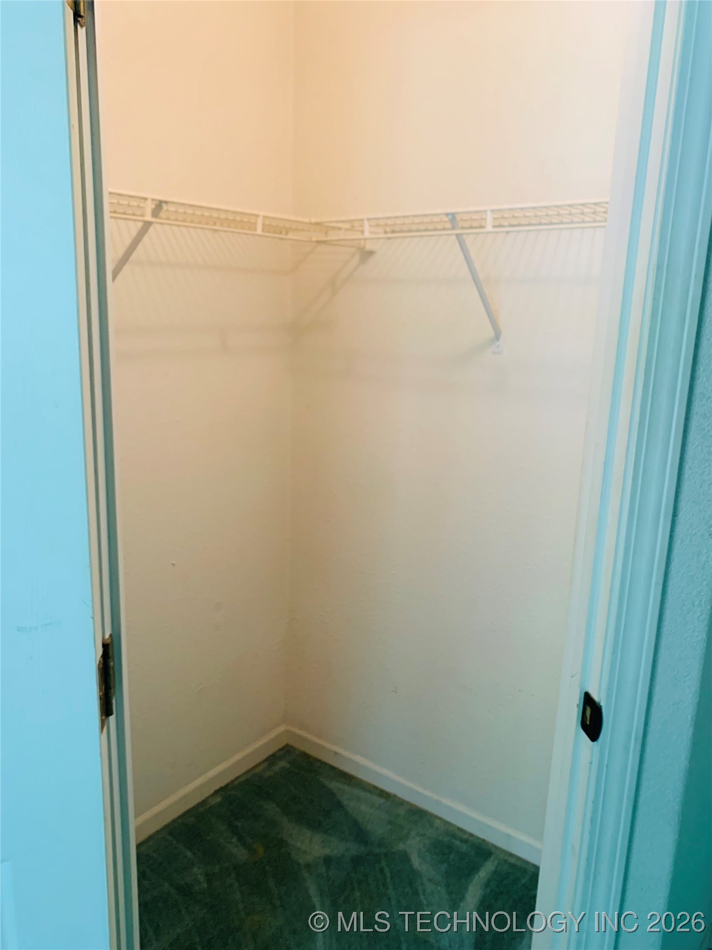 171 Homestead Drive Property Photo 59