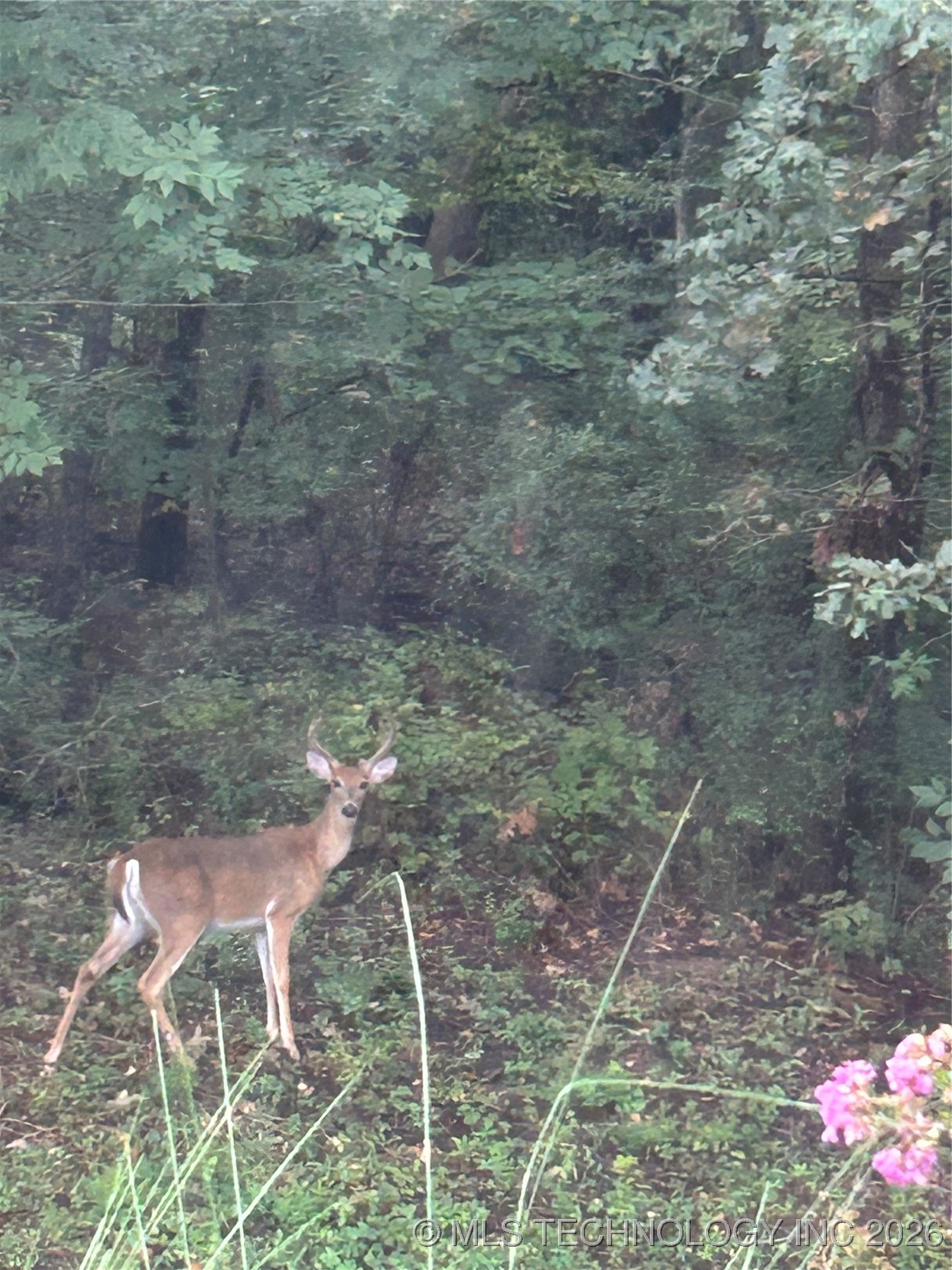 2125 W 73rd Street Property Photo 73