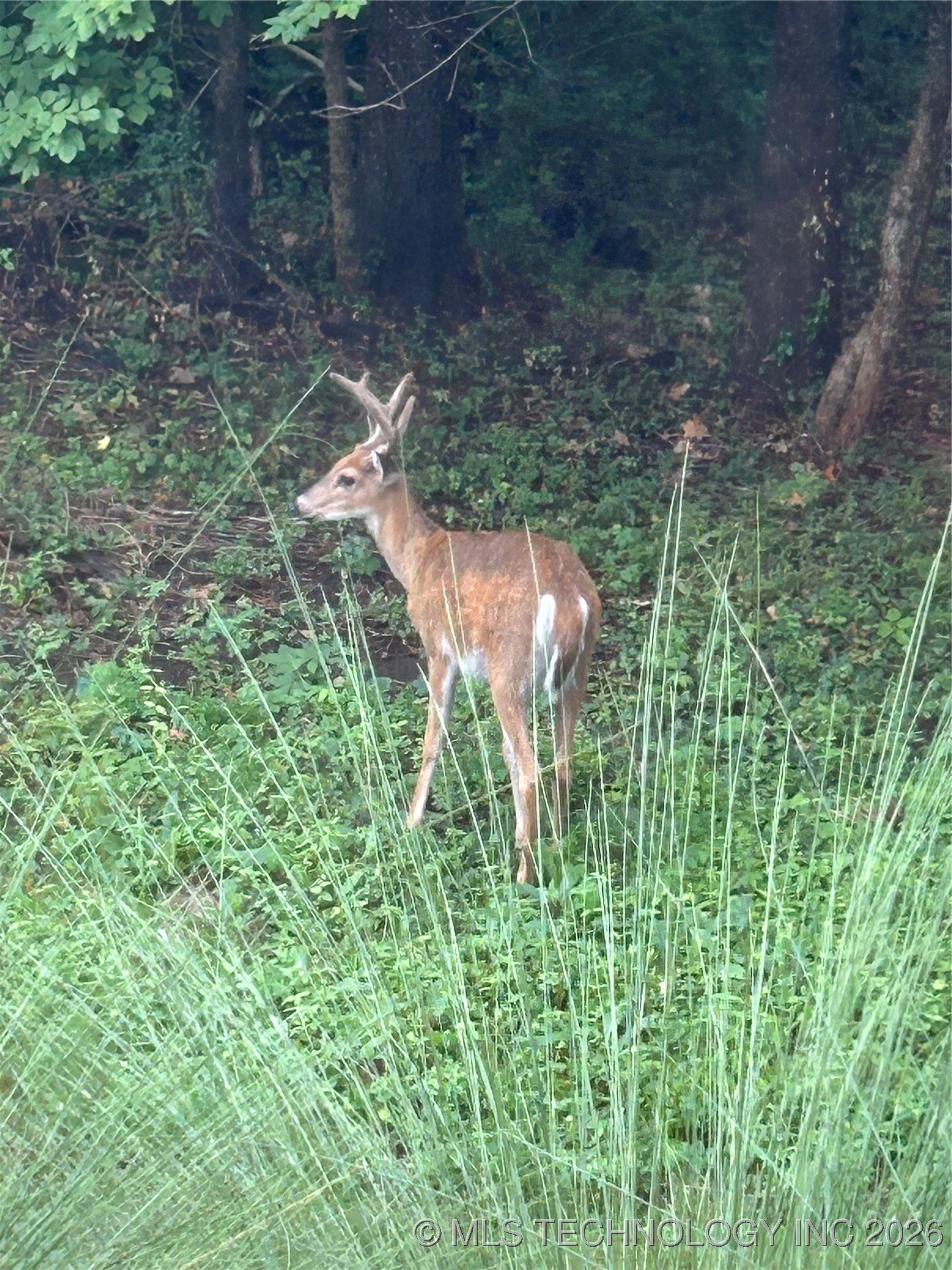 2125 W 73rd Street Property Photo 74