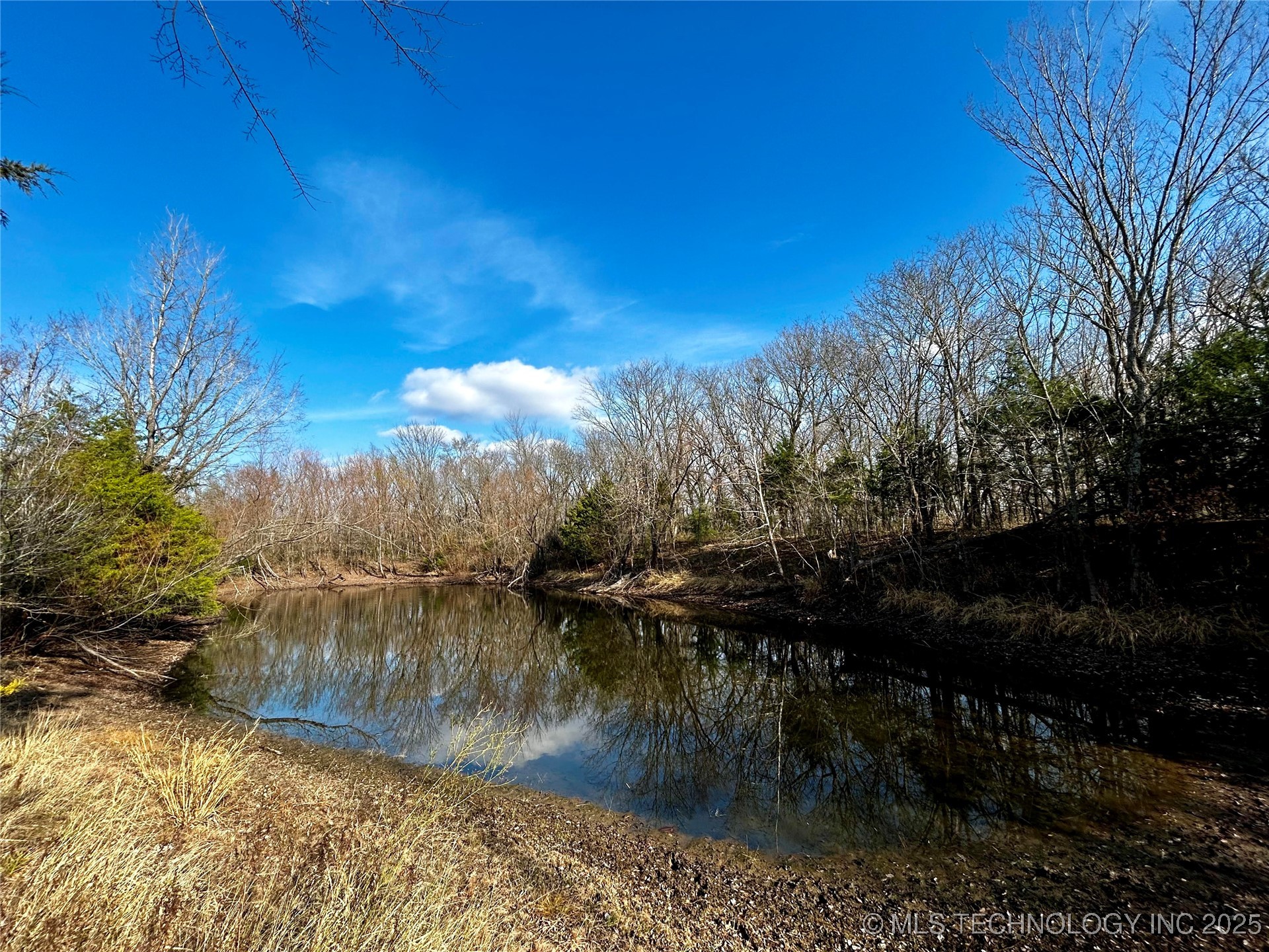 001 State 31 Highway E Property Photo 1