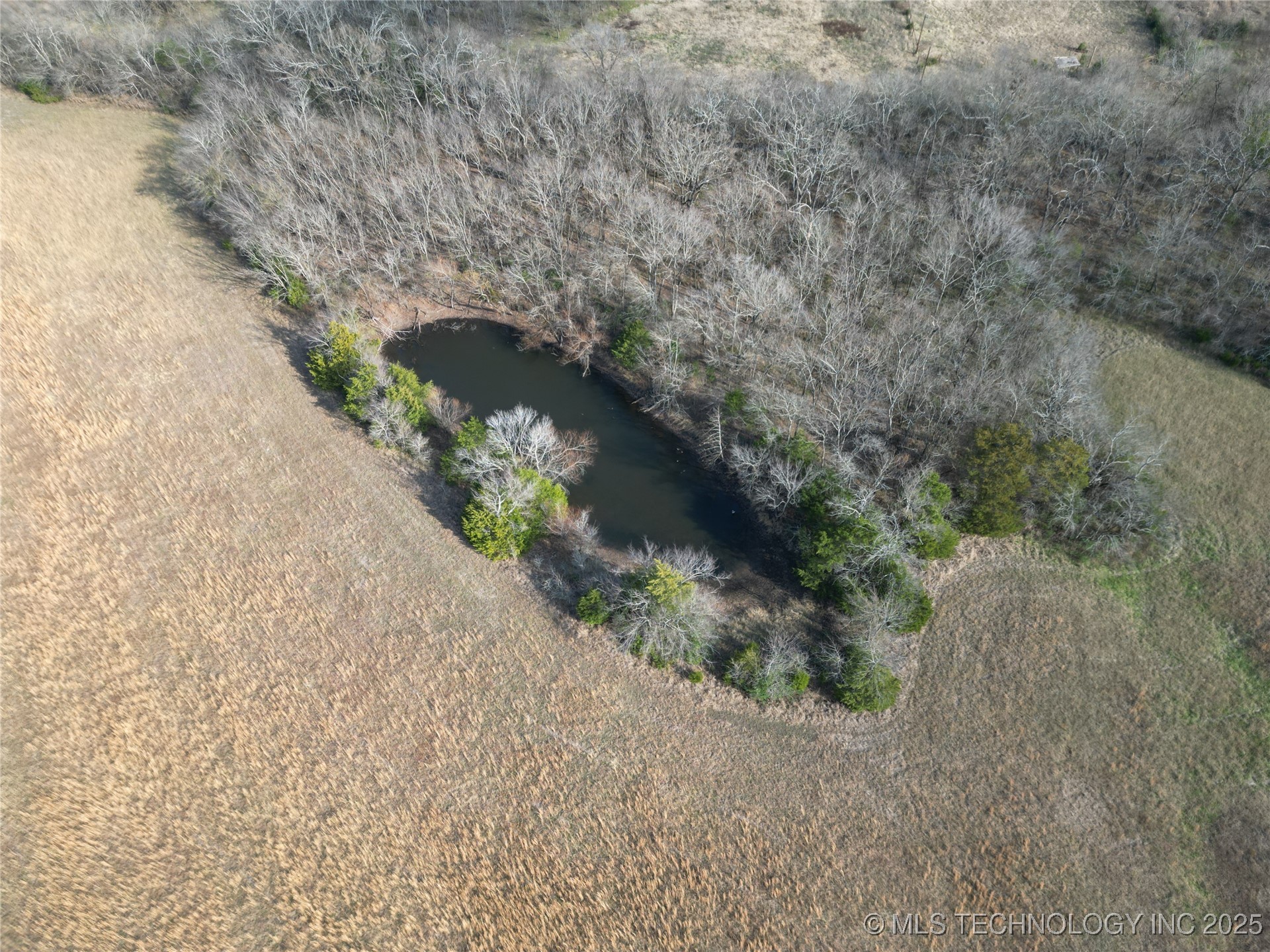 001 State 31 Highway E Property Photo 3