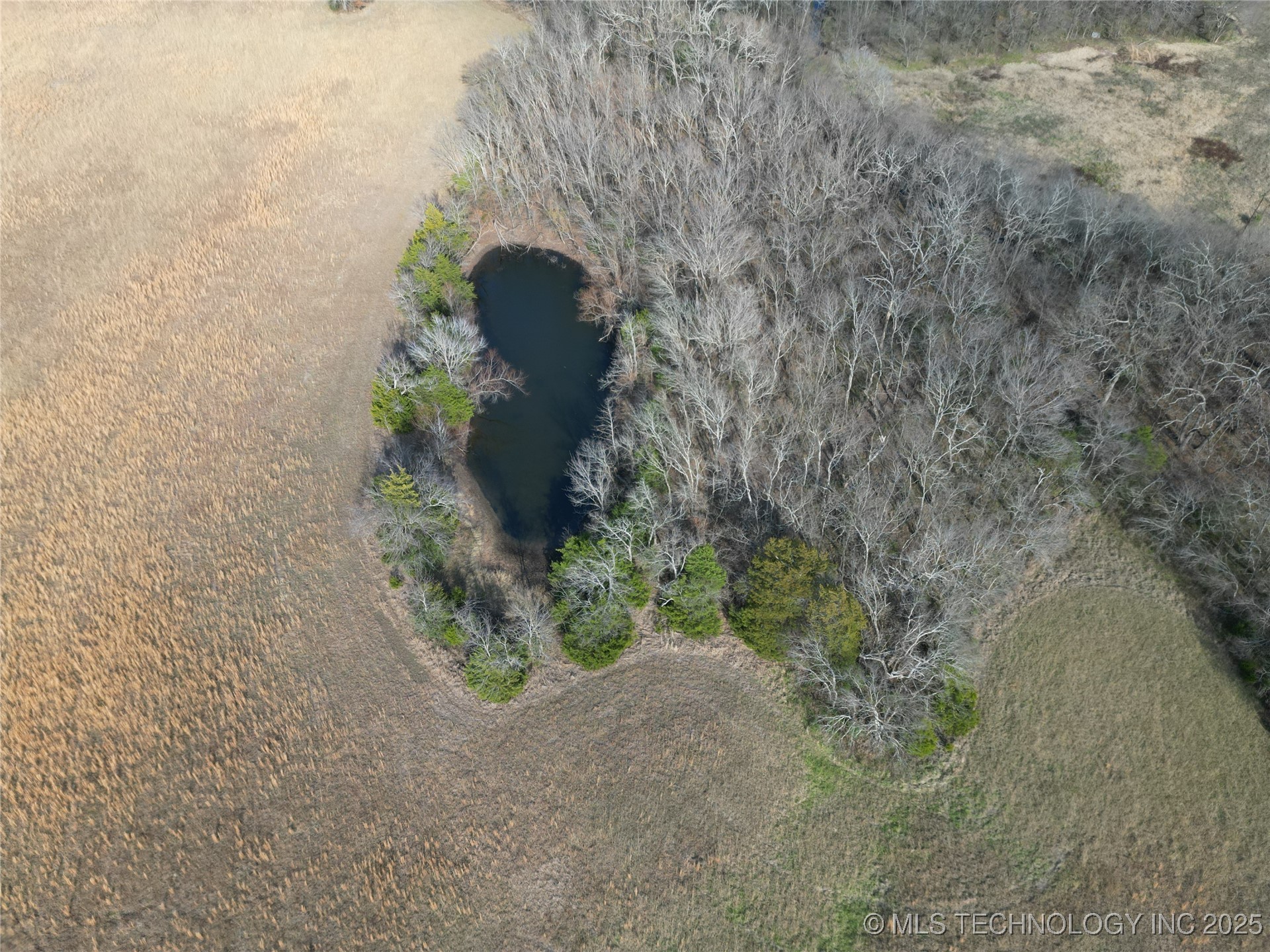 001 State 31 Highway E Property Photo 4