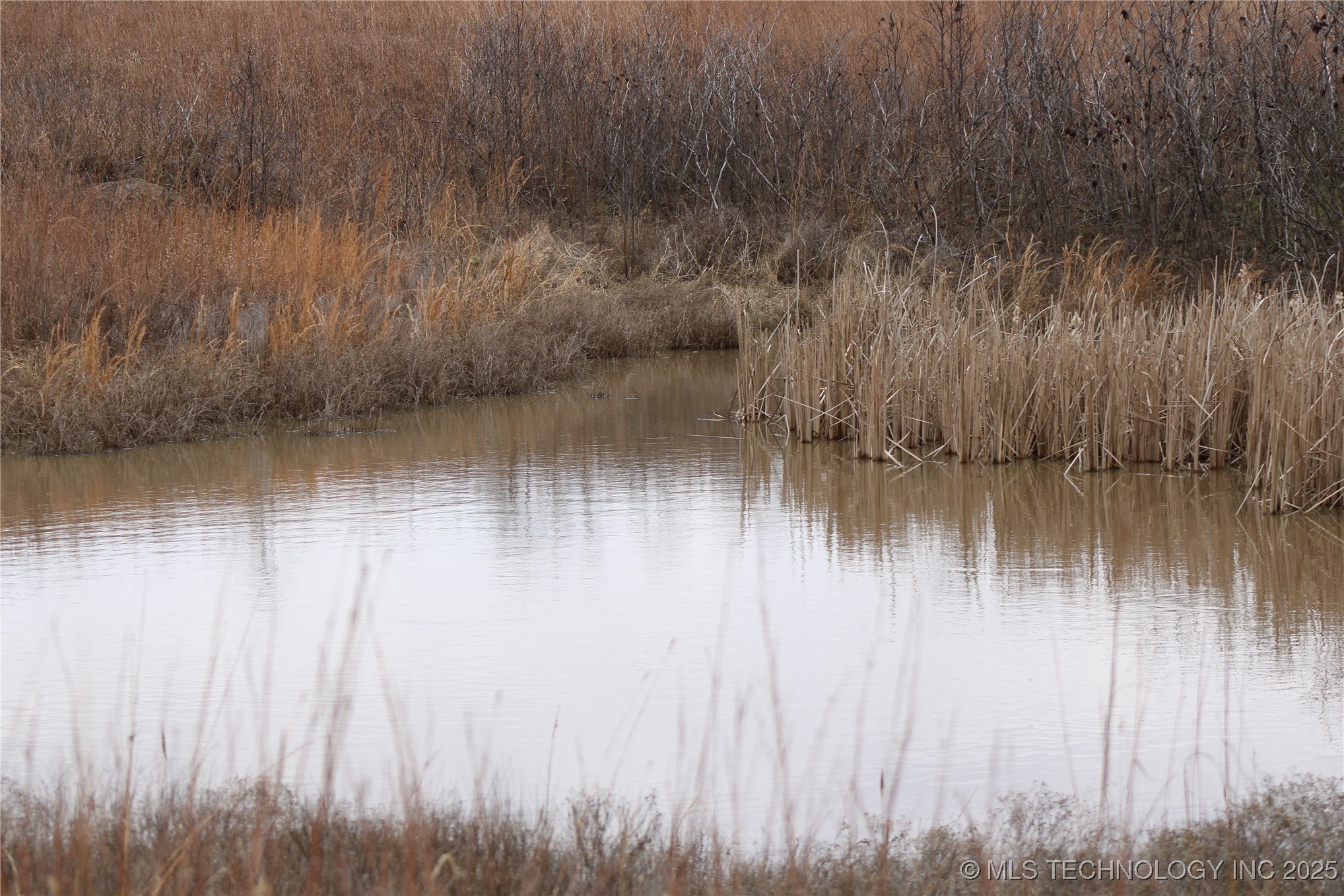 0003 County Road 2145 Property Photo 7