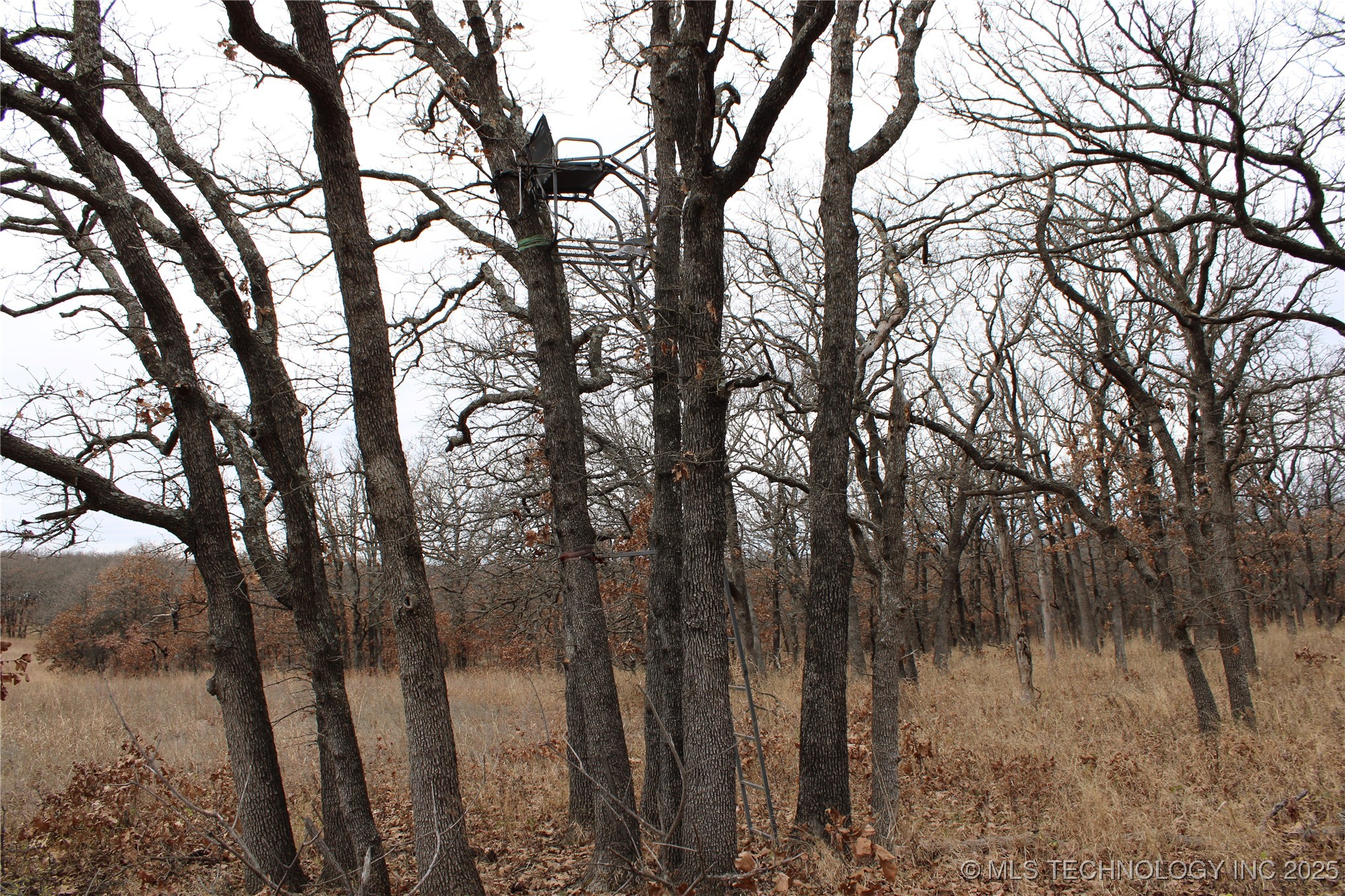 0003 County Road 2145 Property Photo 9