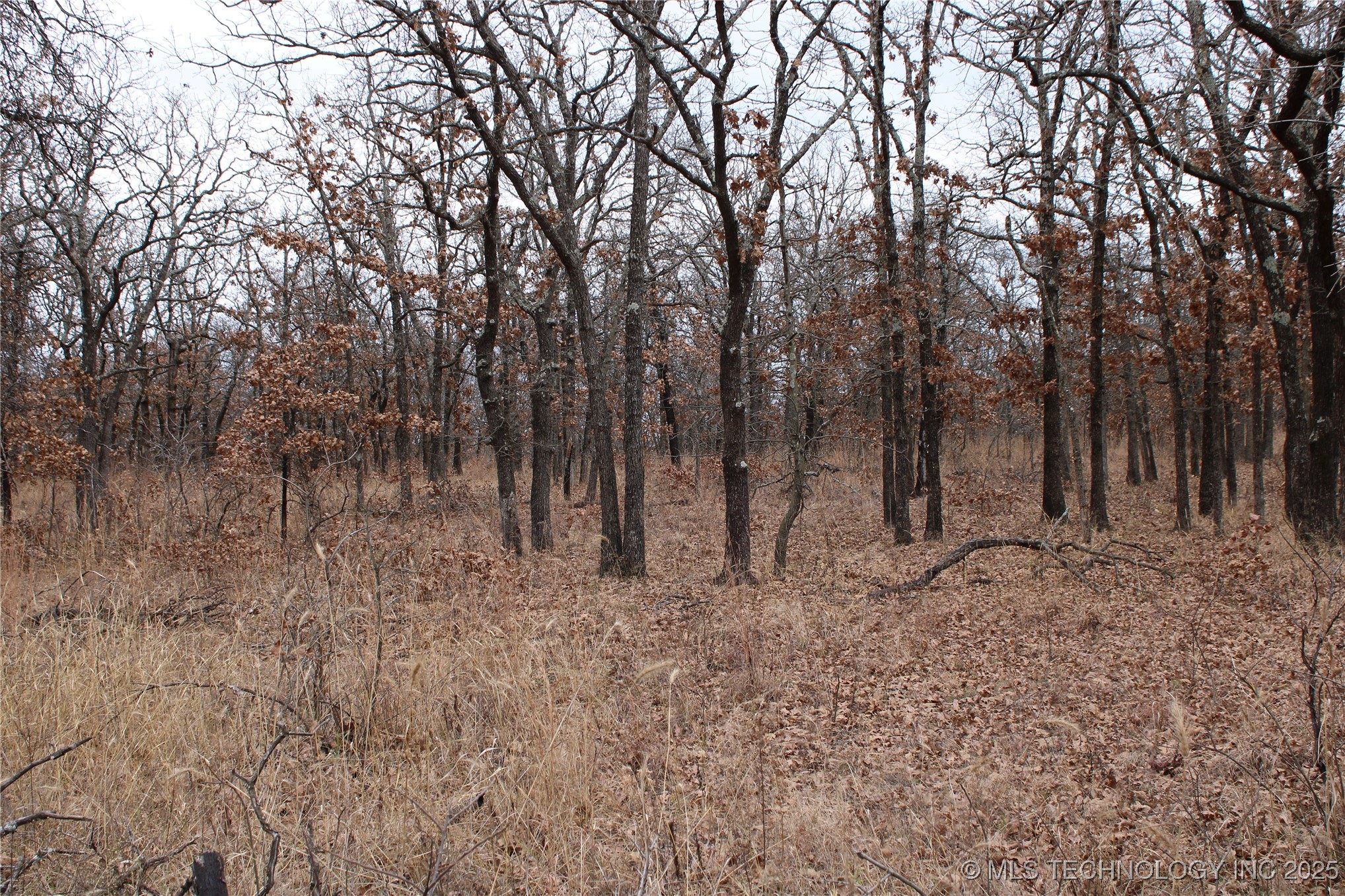 0003 County Road 2145 Property Photo 10