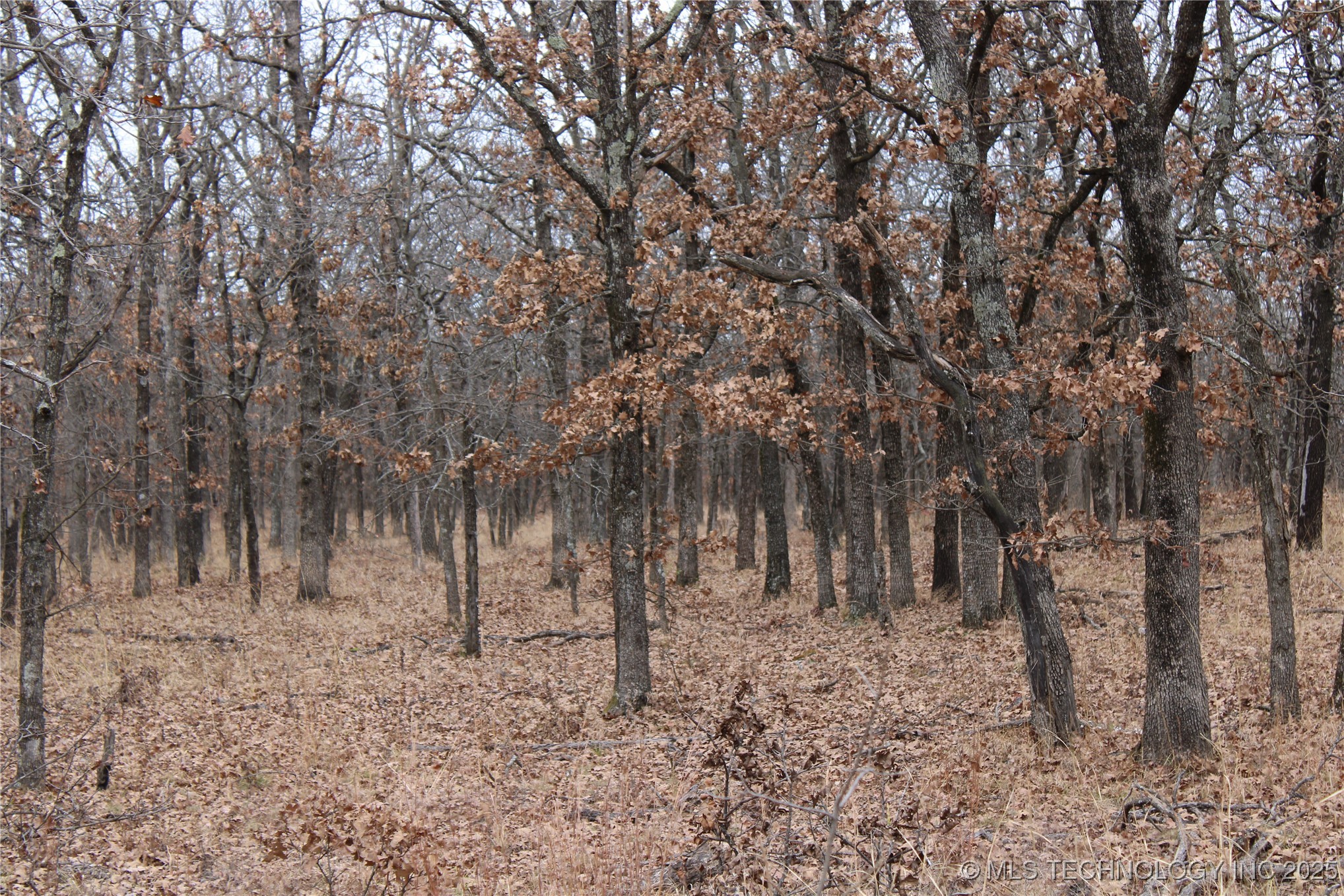 0003 County Road 2145 Property Photo 11