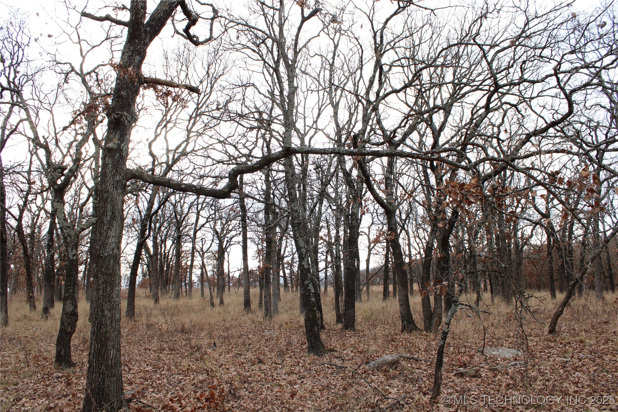 0003 County Road 2145 Property Photo 12