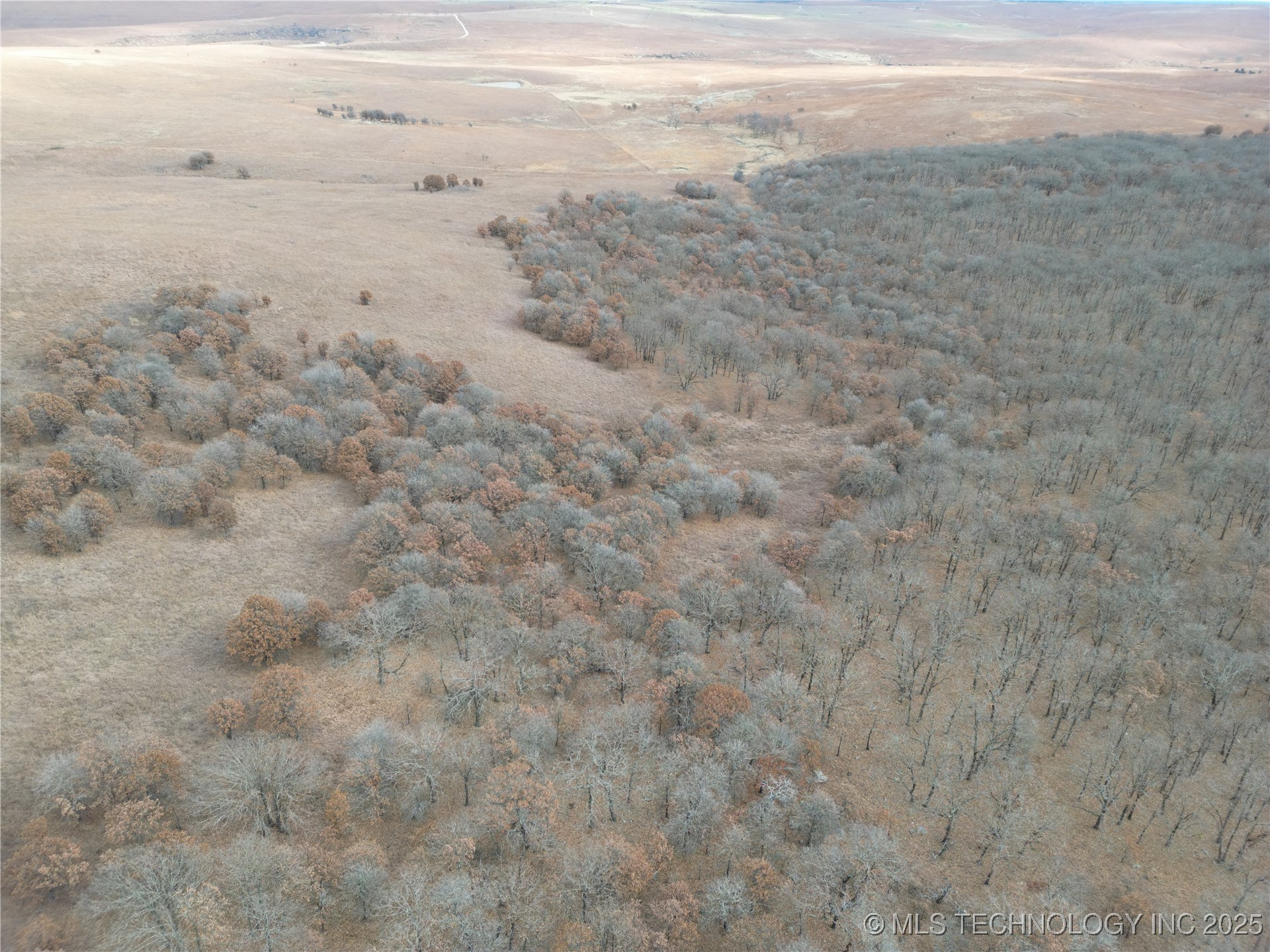 0004 County Road 2145 Property Photo 6