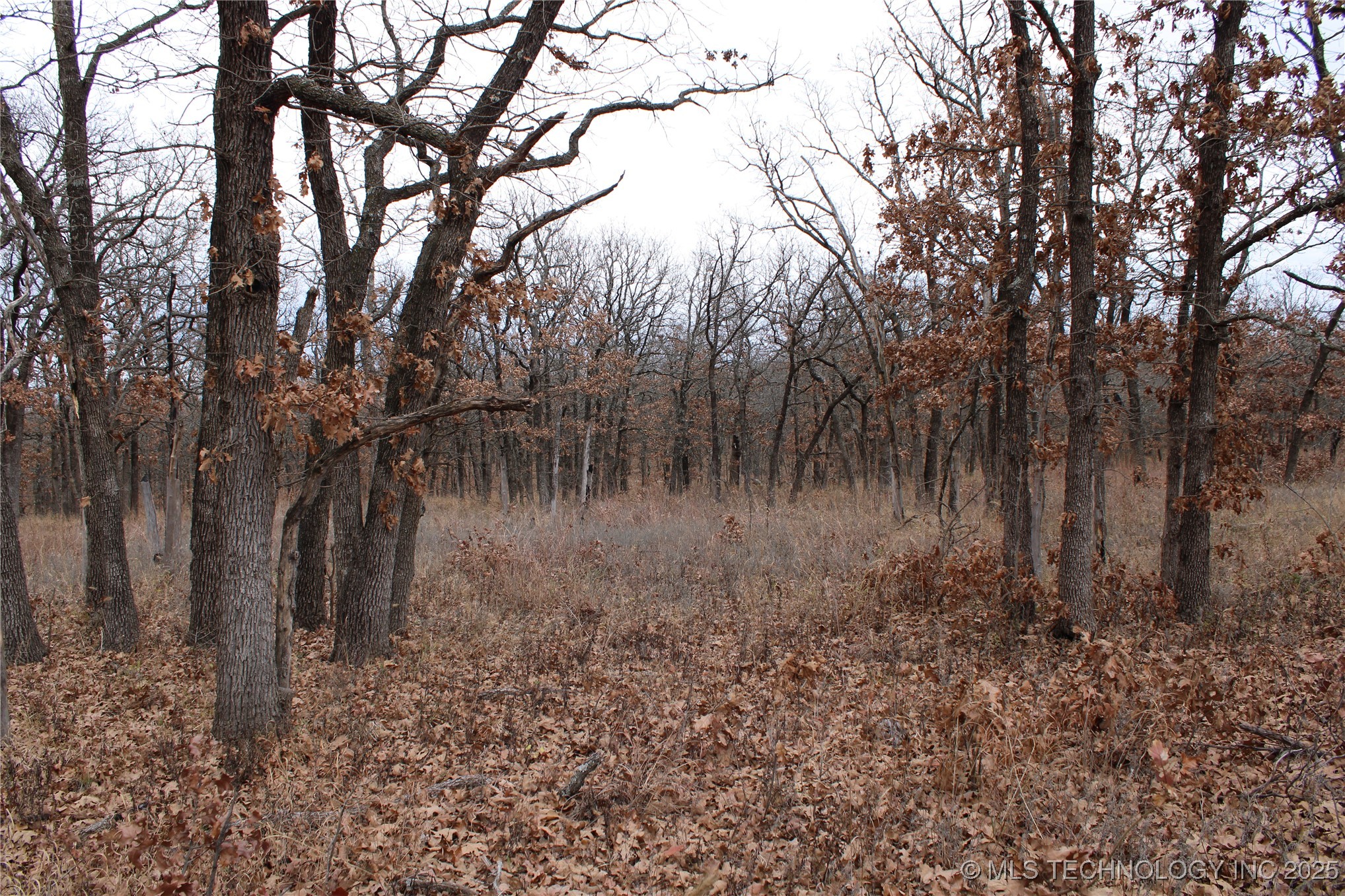 0004 County Road 2145 Property Photo 8