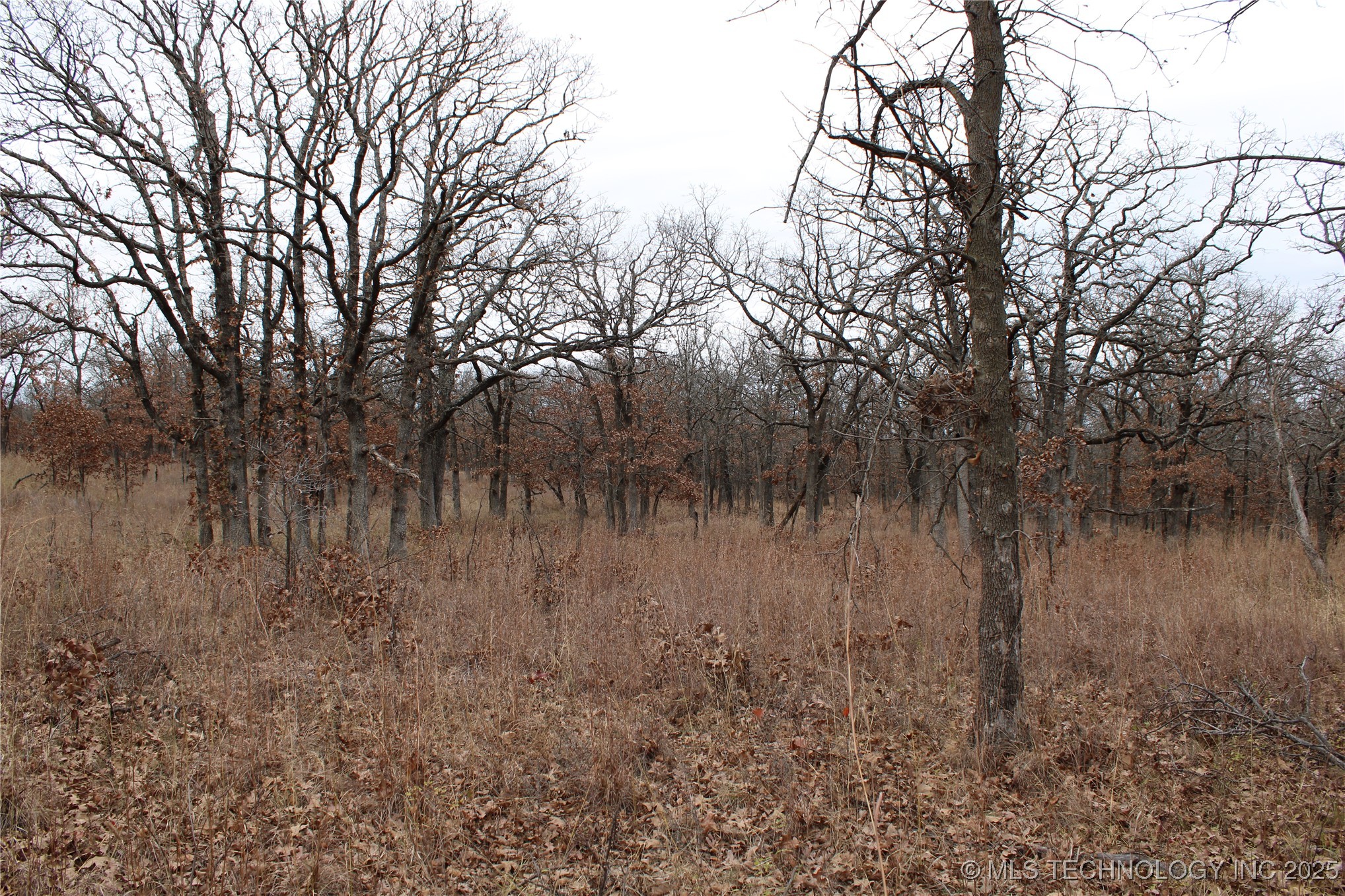 0004 County Road 2145 Property Photo 9