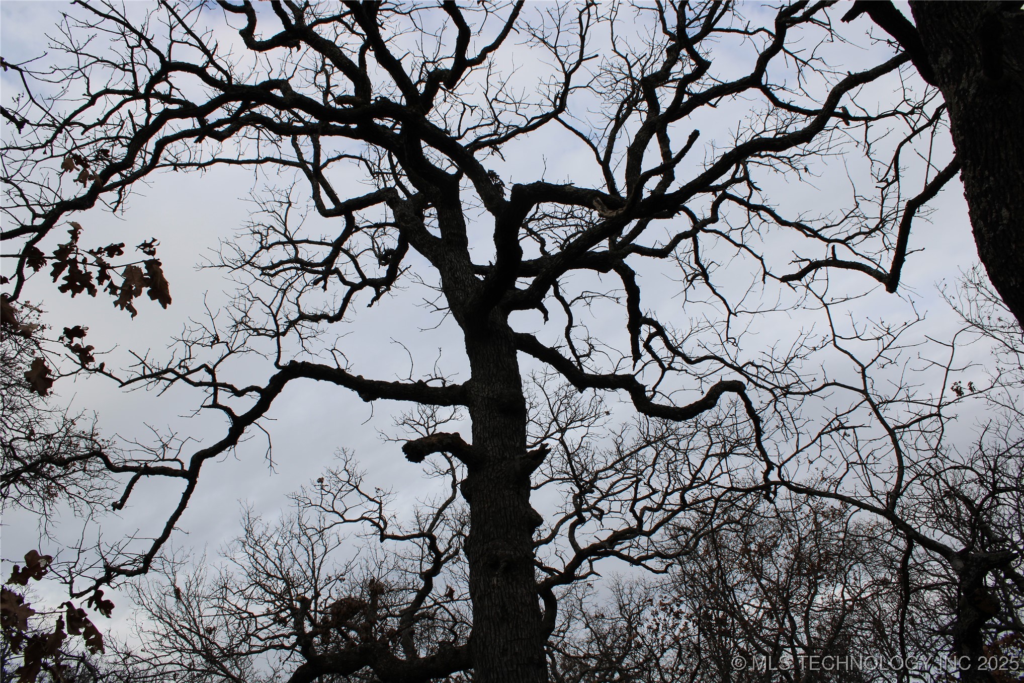0004 County Road 2145 Property Photo 10