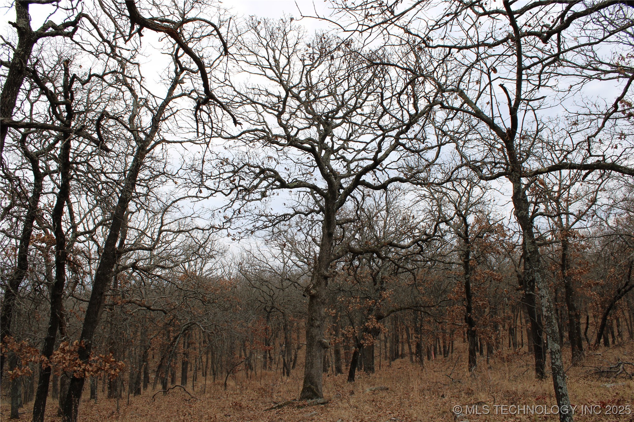 0004 County Road 2145 Property Photo 11