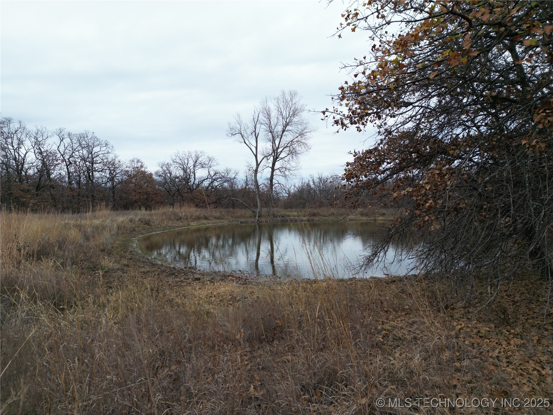 0007 County Road 2145 Property Photo 7