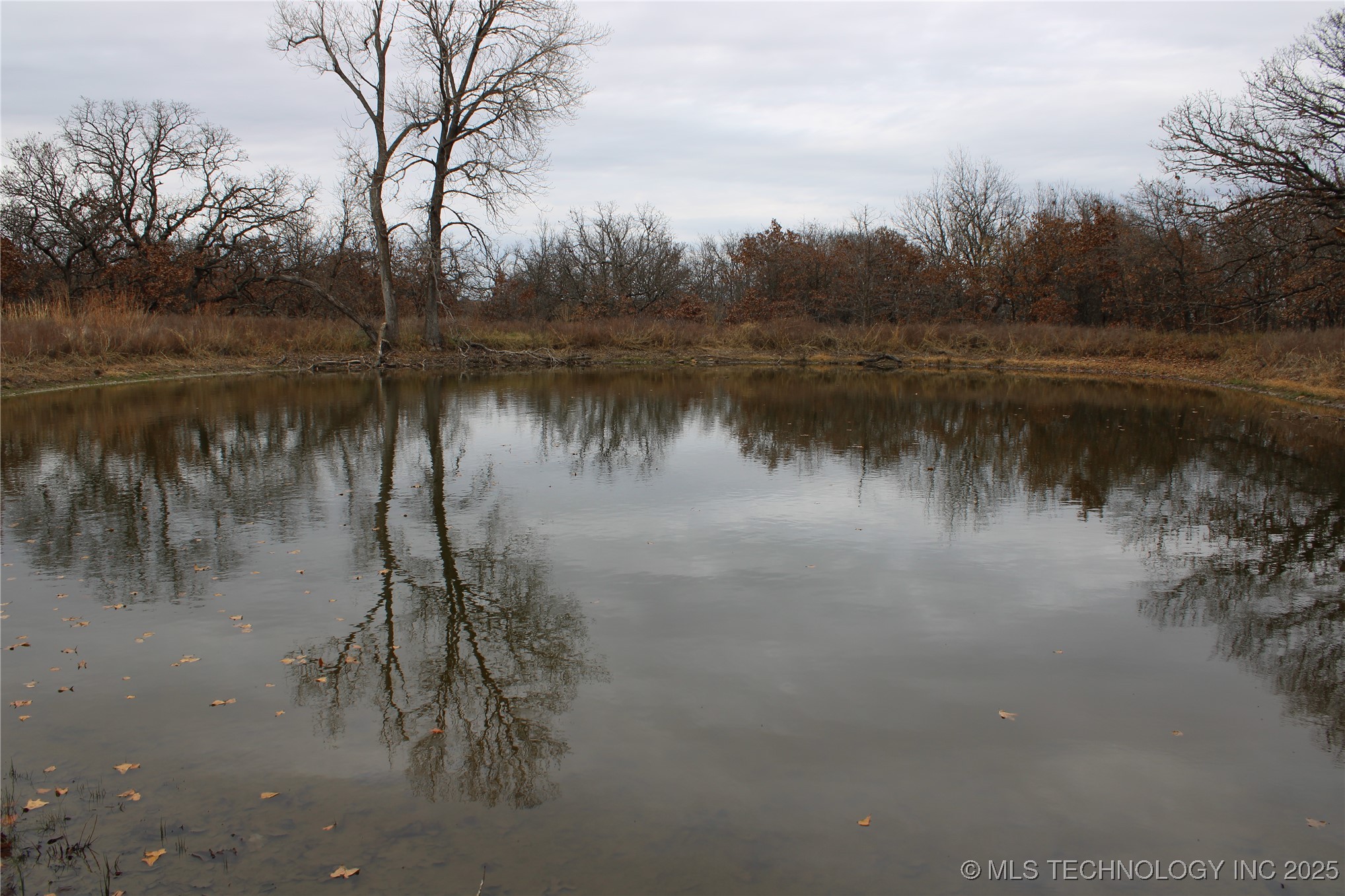 0007 County Road 2145 Property Photo 8