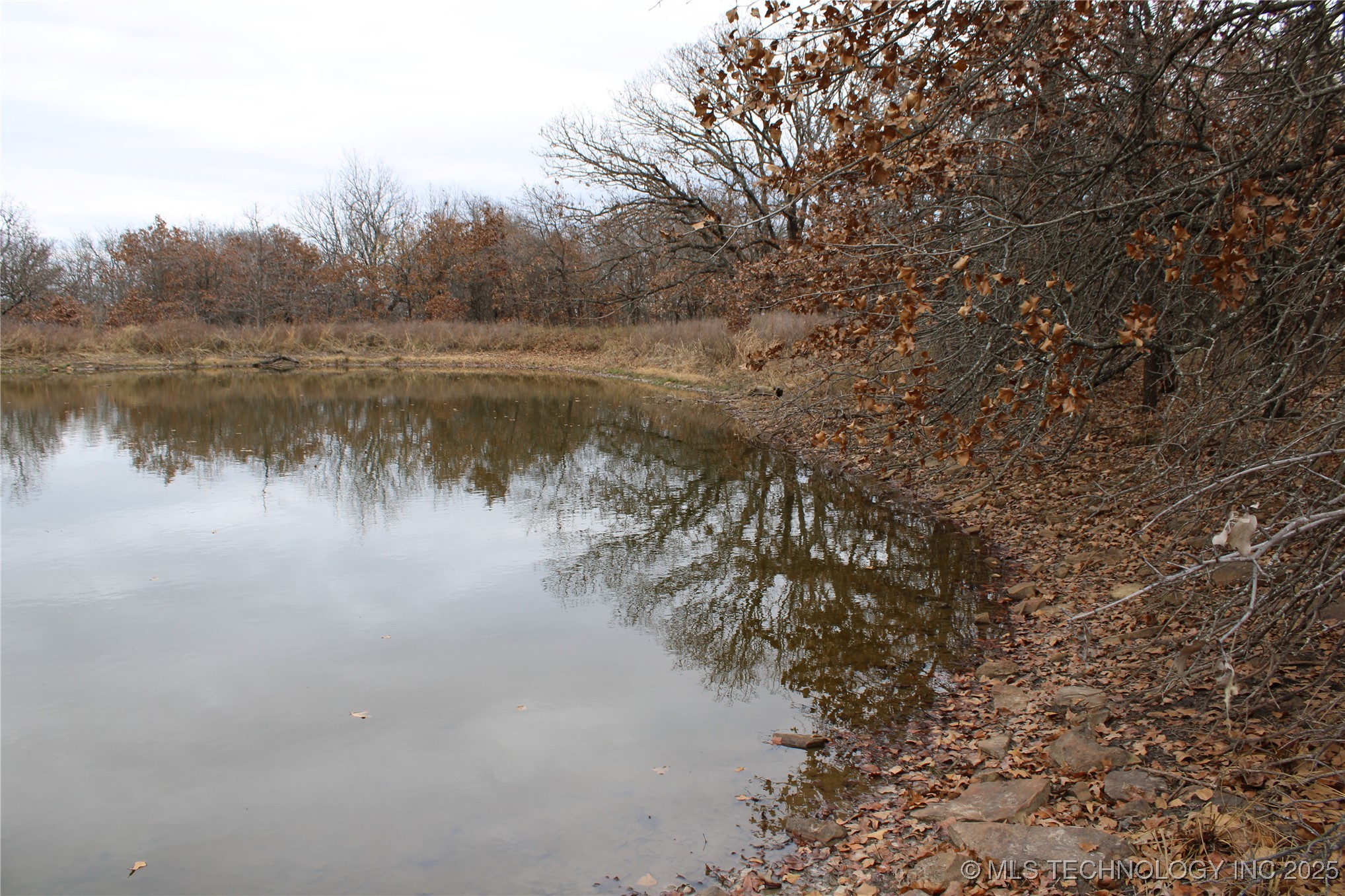 0007 County Road 2145 Property Photo 9