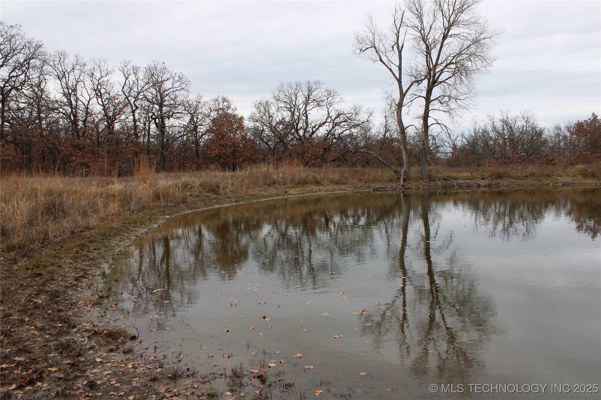 0007 County Road 2145 Property Photo 10