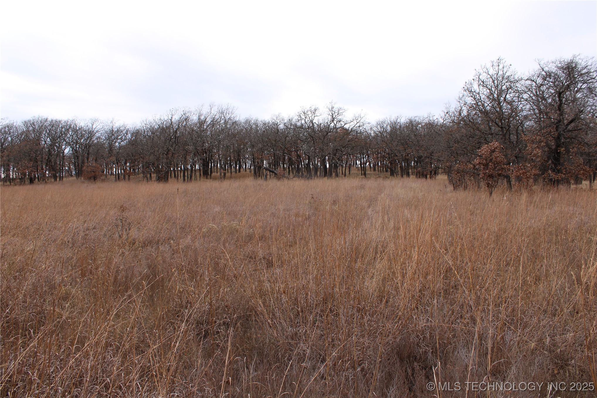 0009 County Road 2145 Property Photo 12