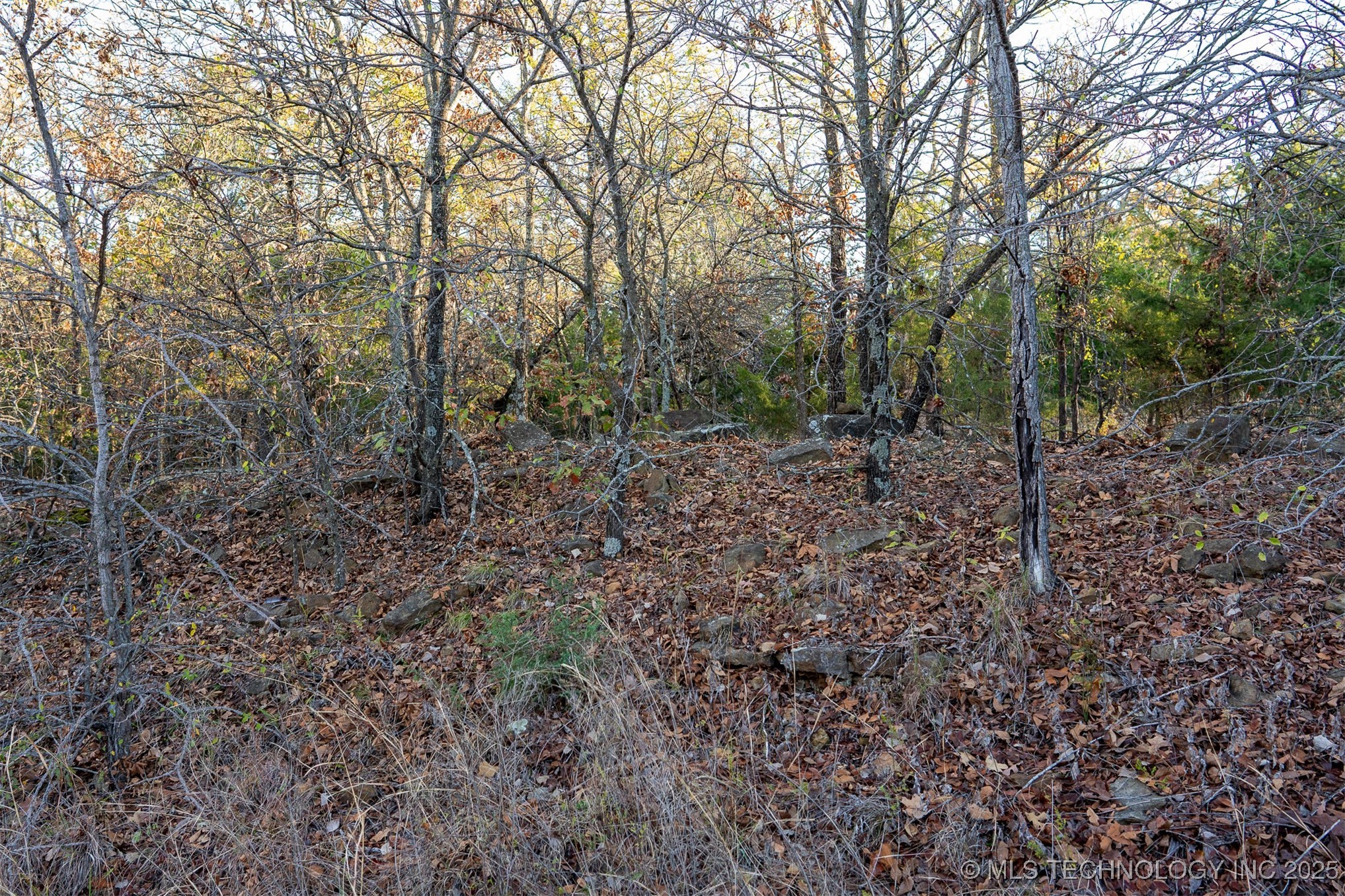 6 S 128th Street Property Photo 23