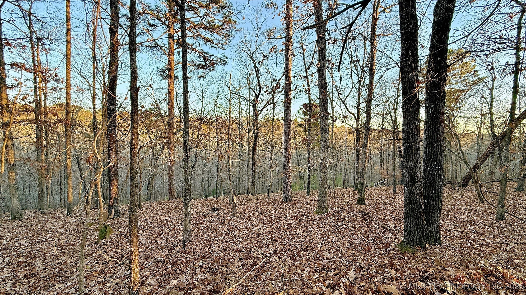 246 Red Fox Trail Property Photo 1