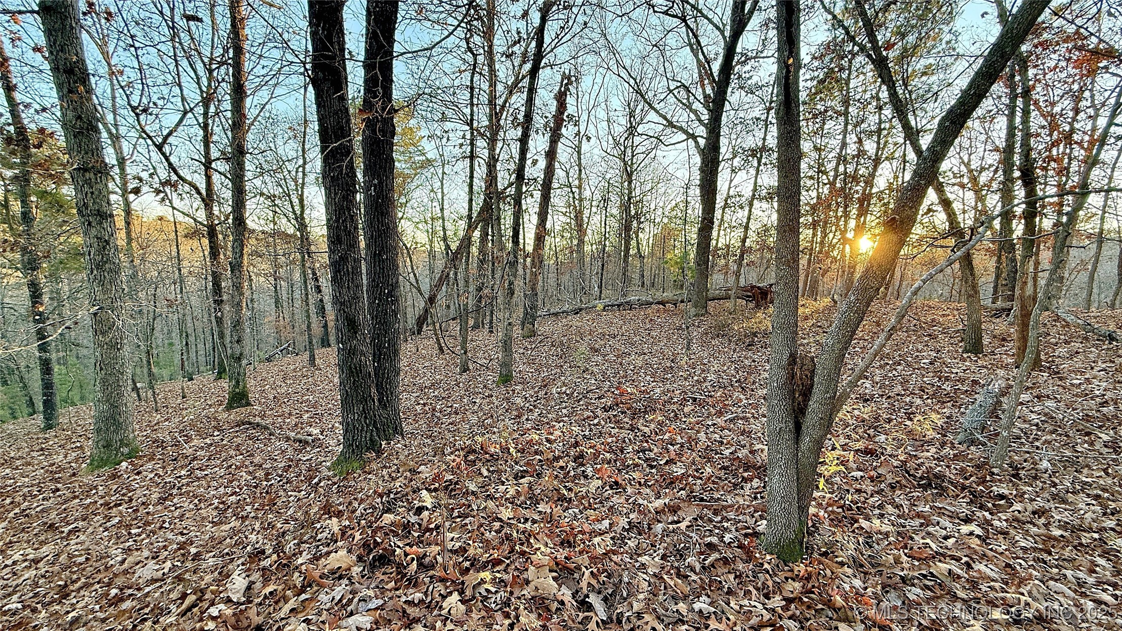 246 Red Fox Trail Property Photo 2