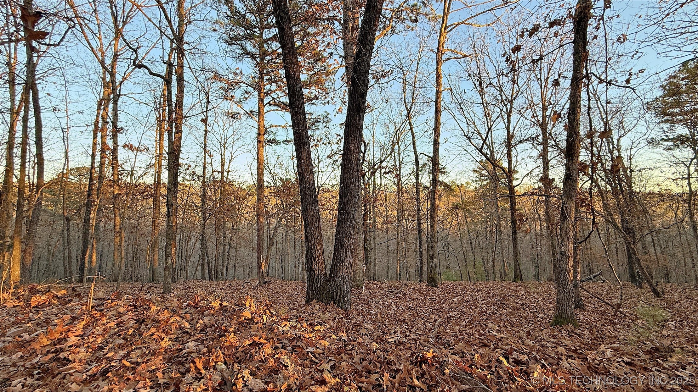 246 Red Fox Trail Property Photo 3