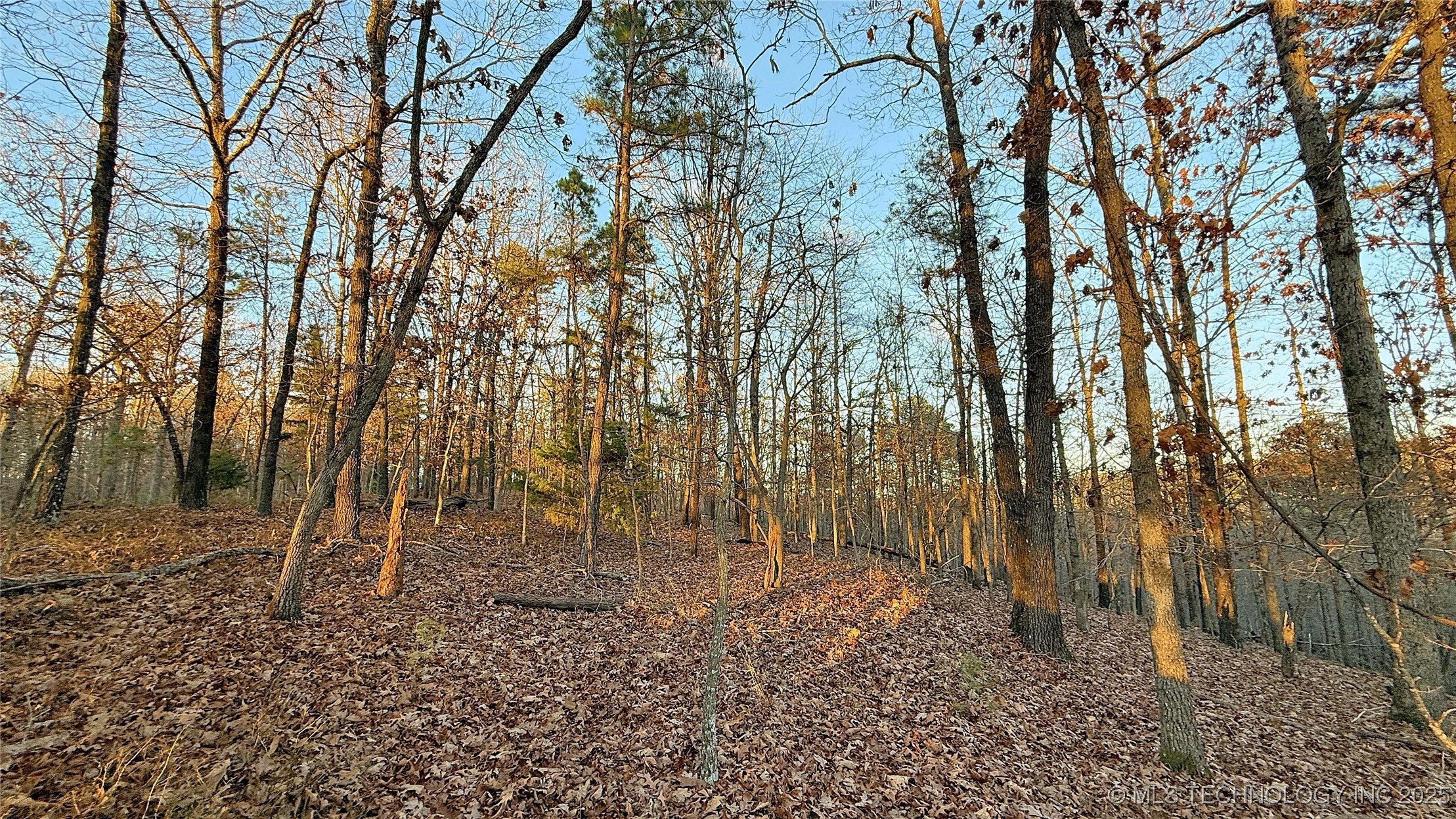 246 Red Fox Trail Property Photo 4