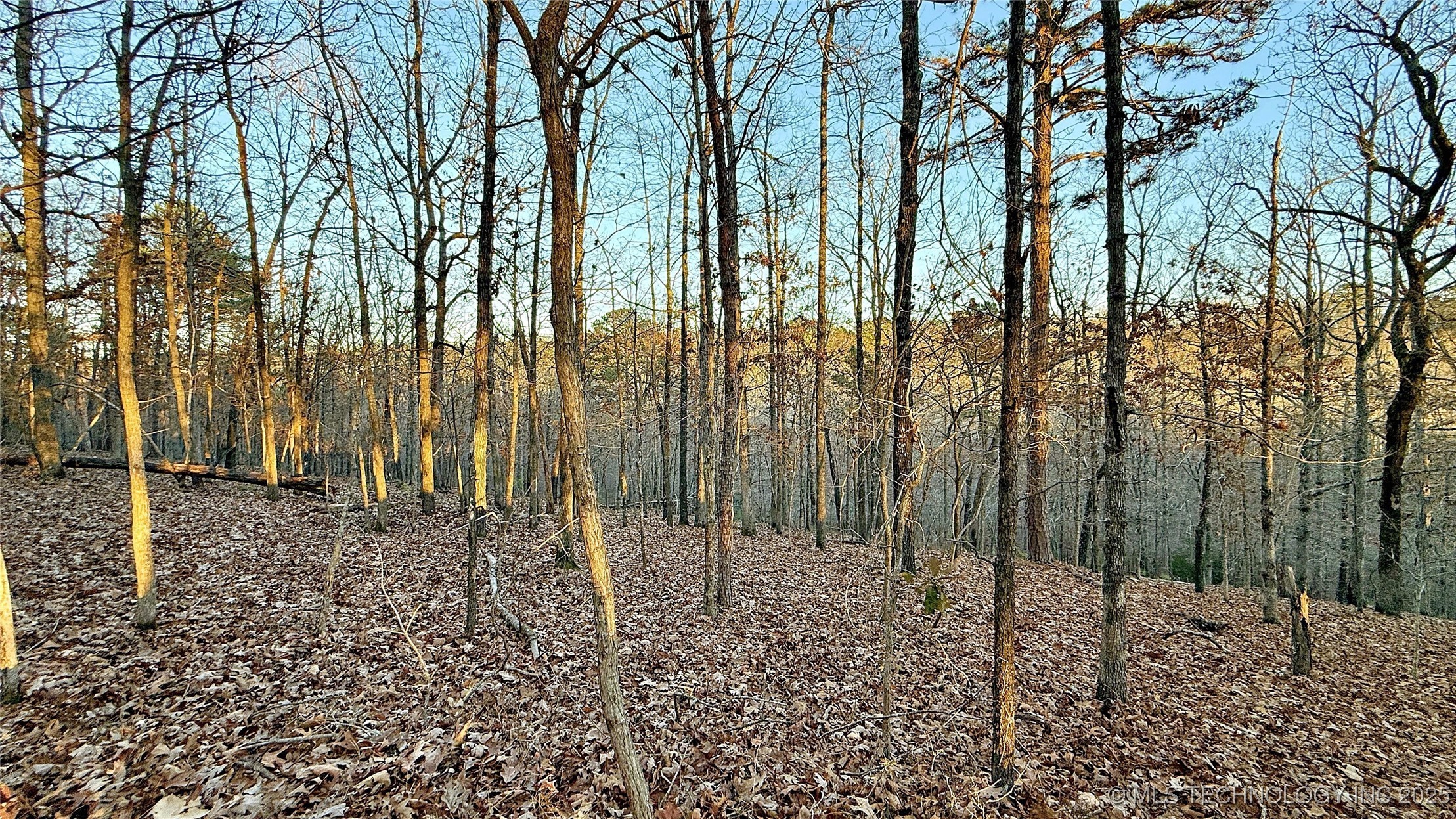 246 Red Fox Trail Property Photo 5