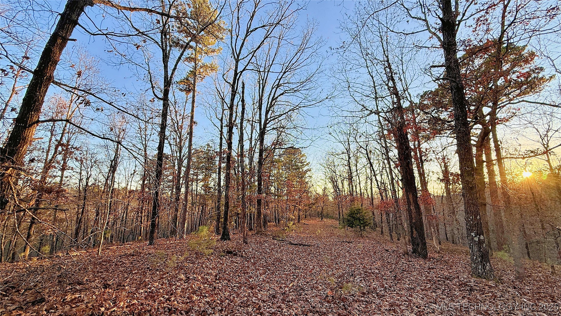 246 Red Fox Trail Property Photo 6