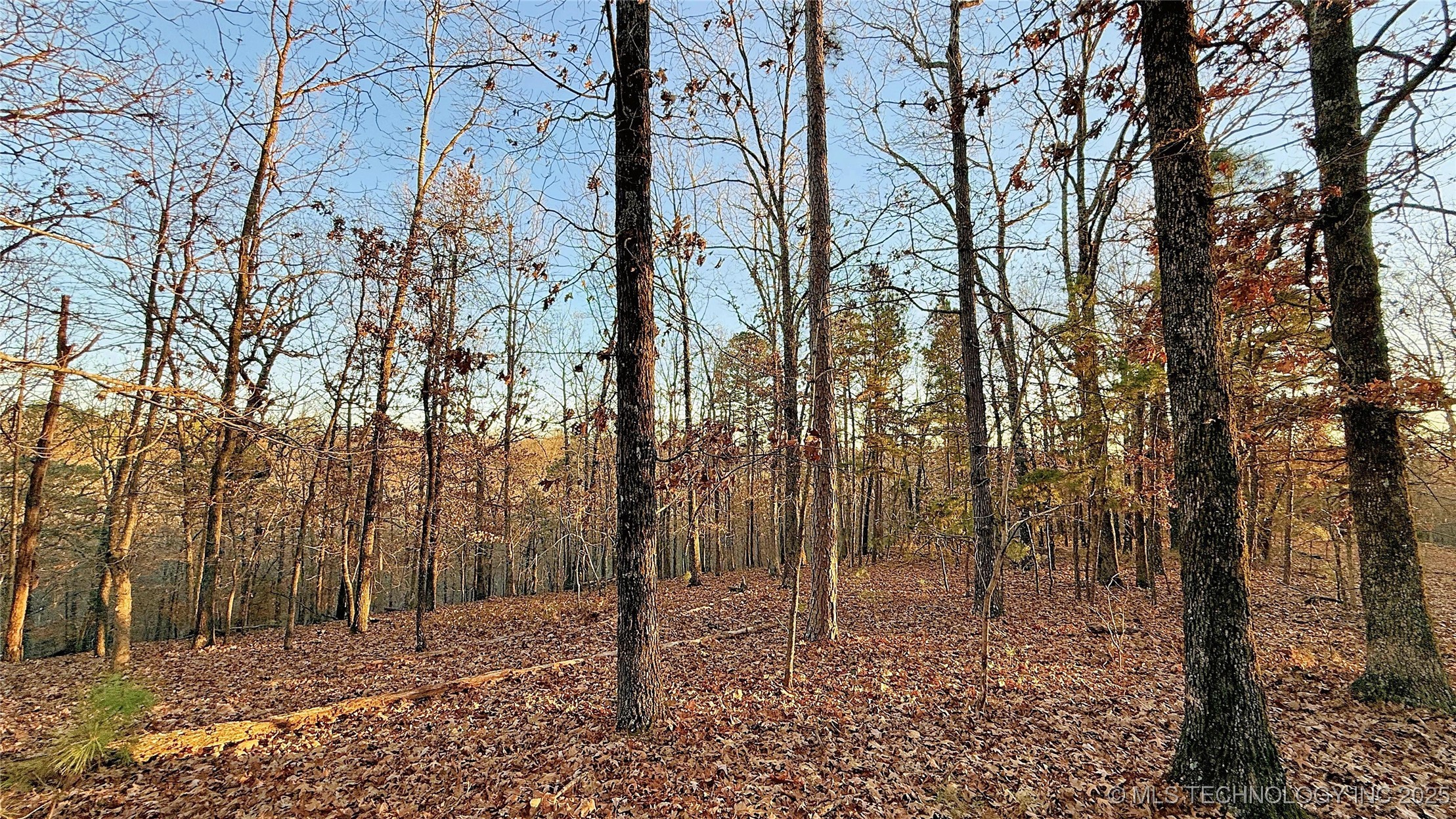 246 Red Fox Trail Property Photo 7