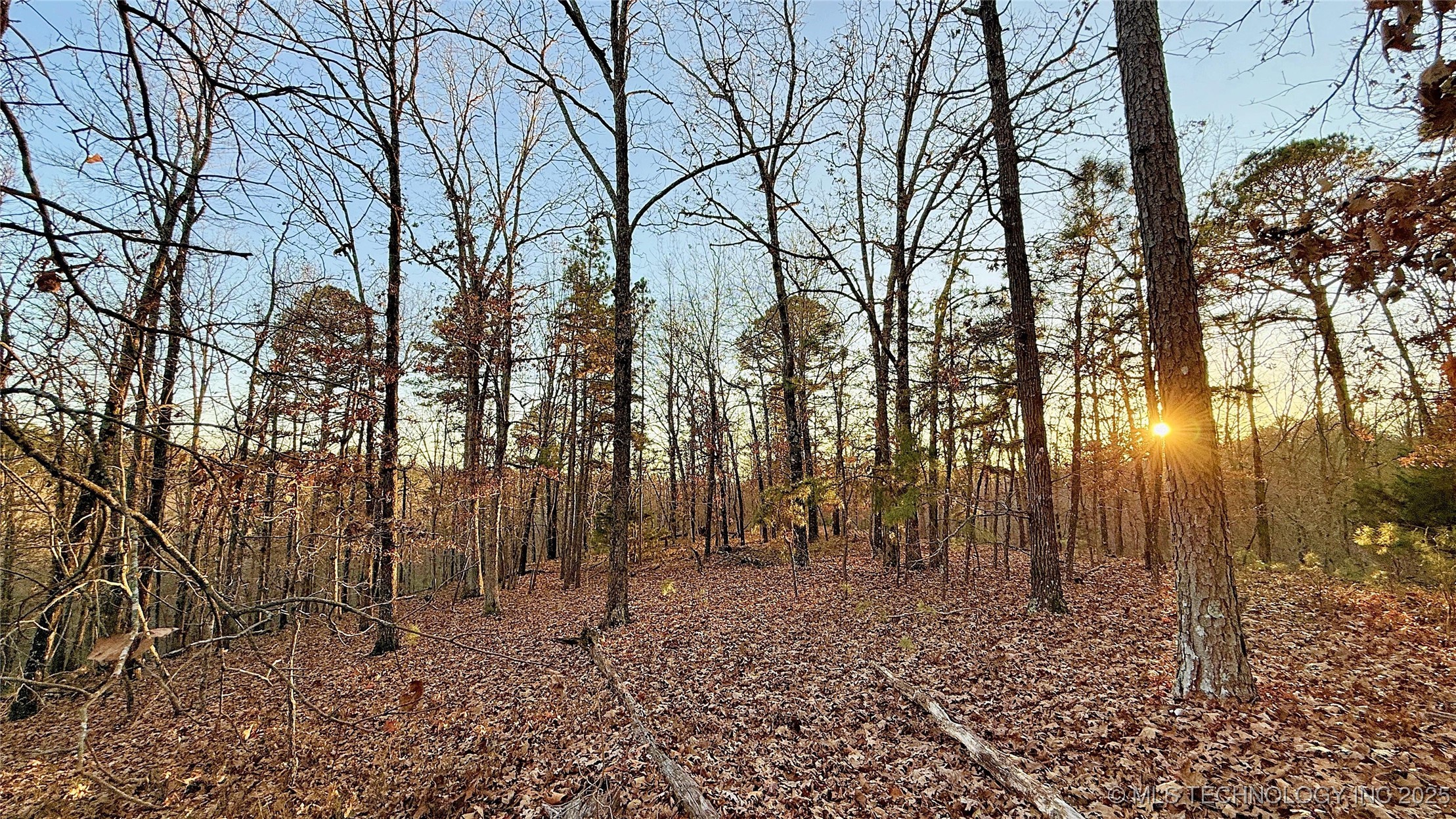 246 Red Fox Trail Property Photo 8