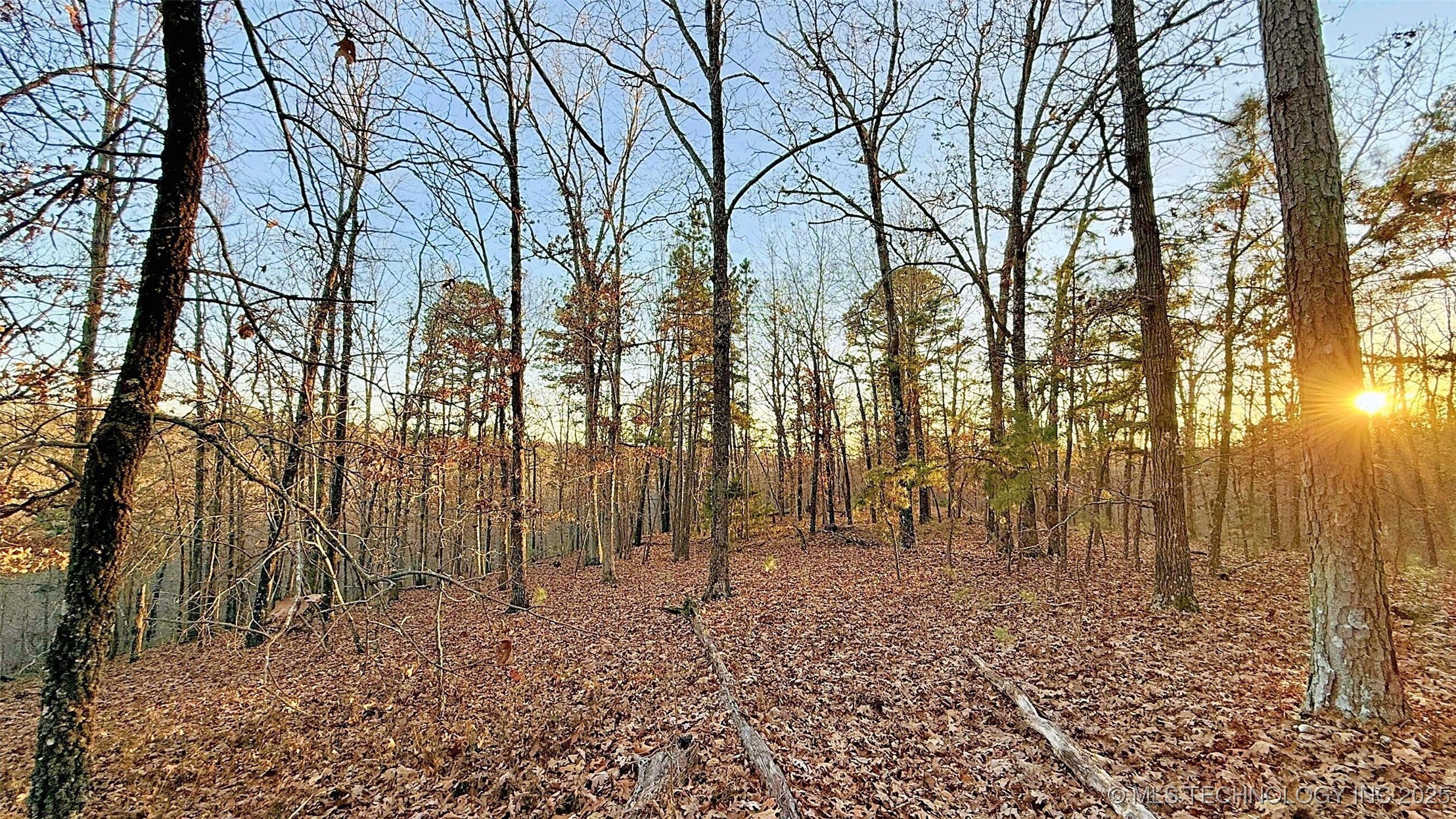 246 Red Fox Trail Property Photo 9