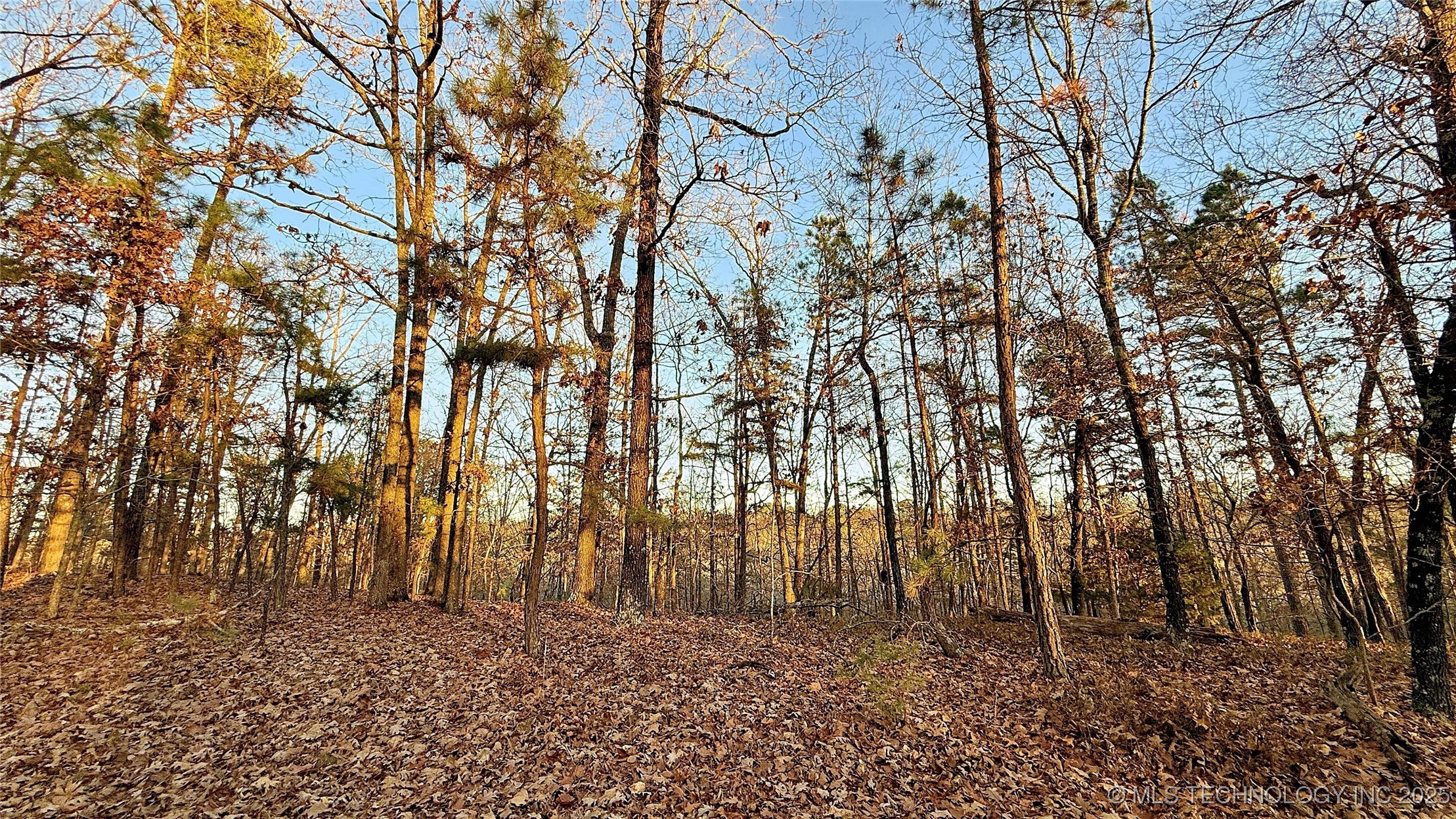 246 Red Fox Trail Property Photo 10