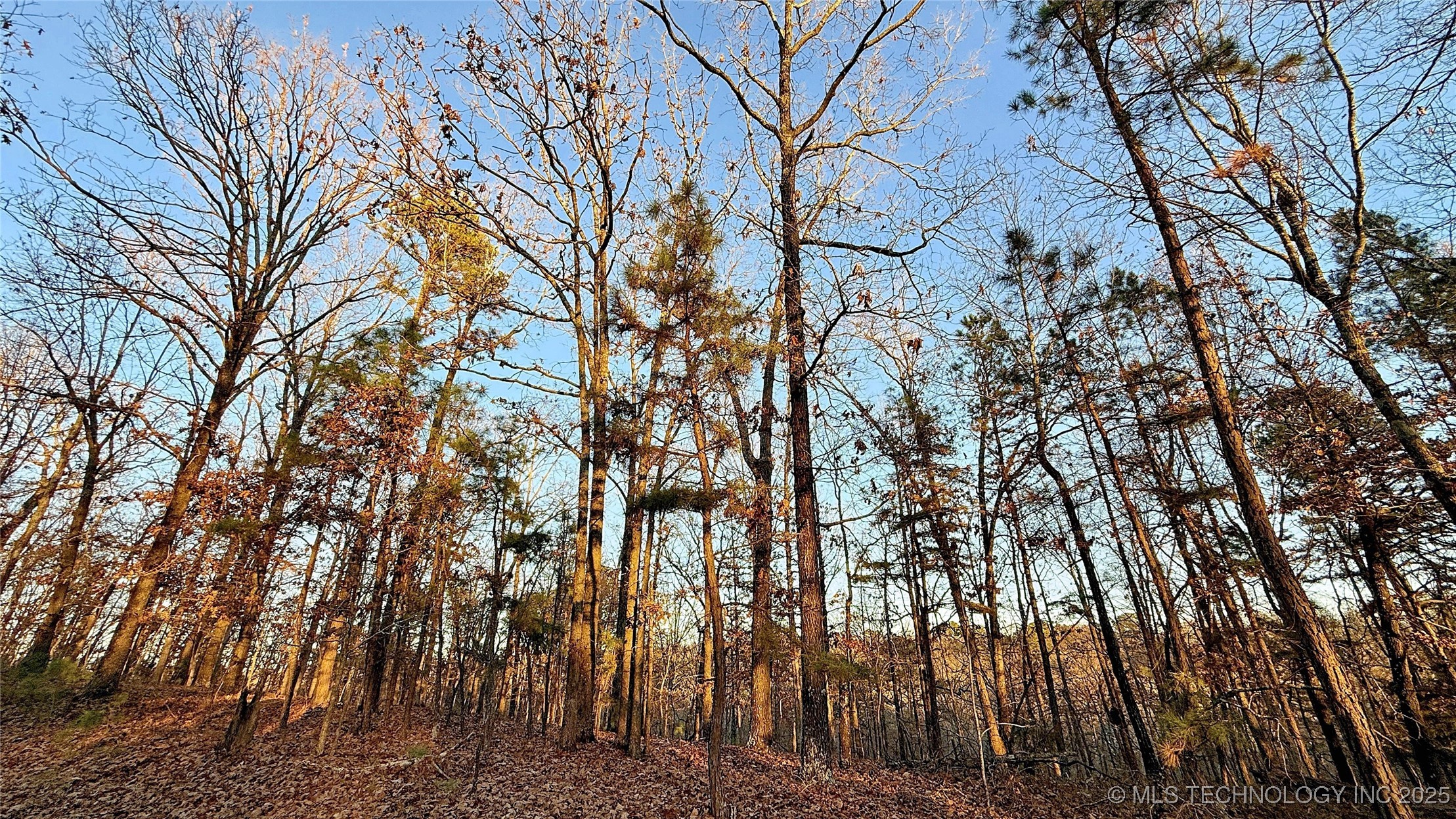 246 Red Fox Trail Property Photo 11