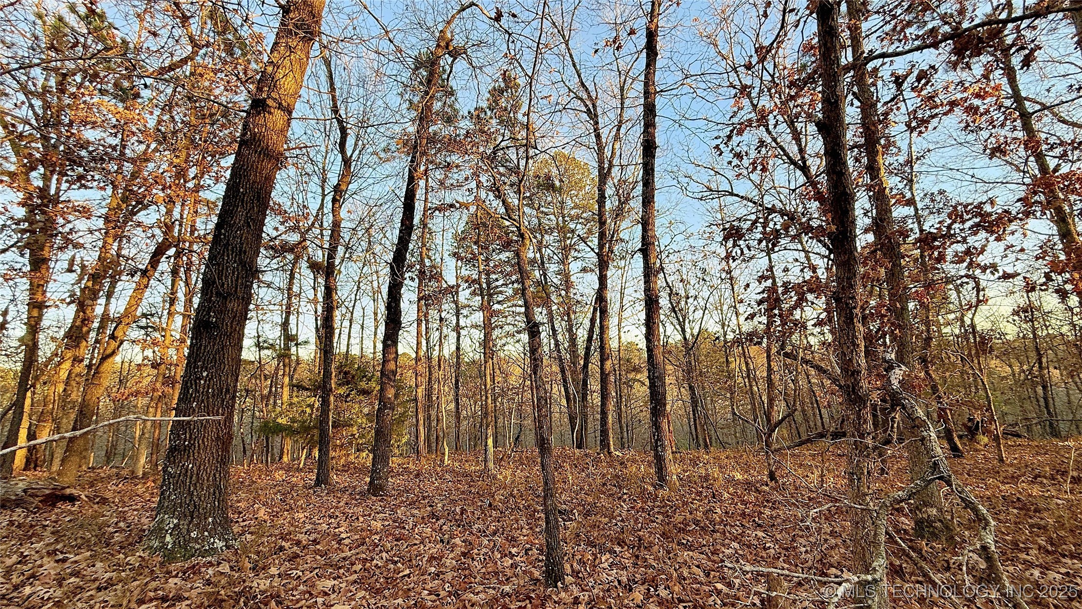 246 Red Fox Trail Property Photo 12