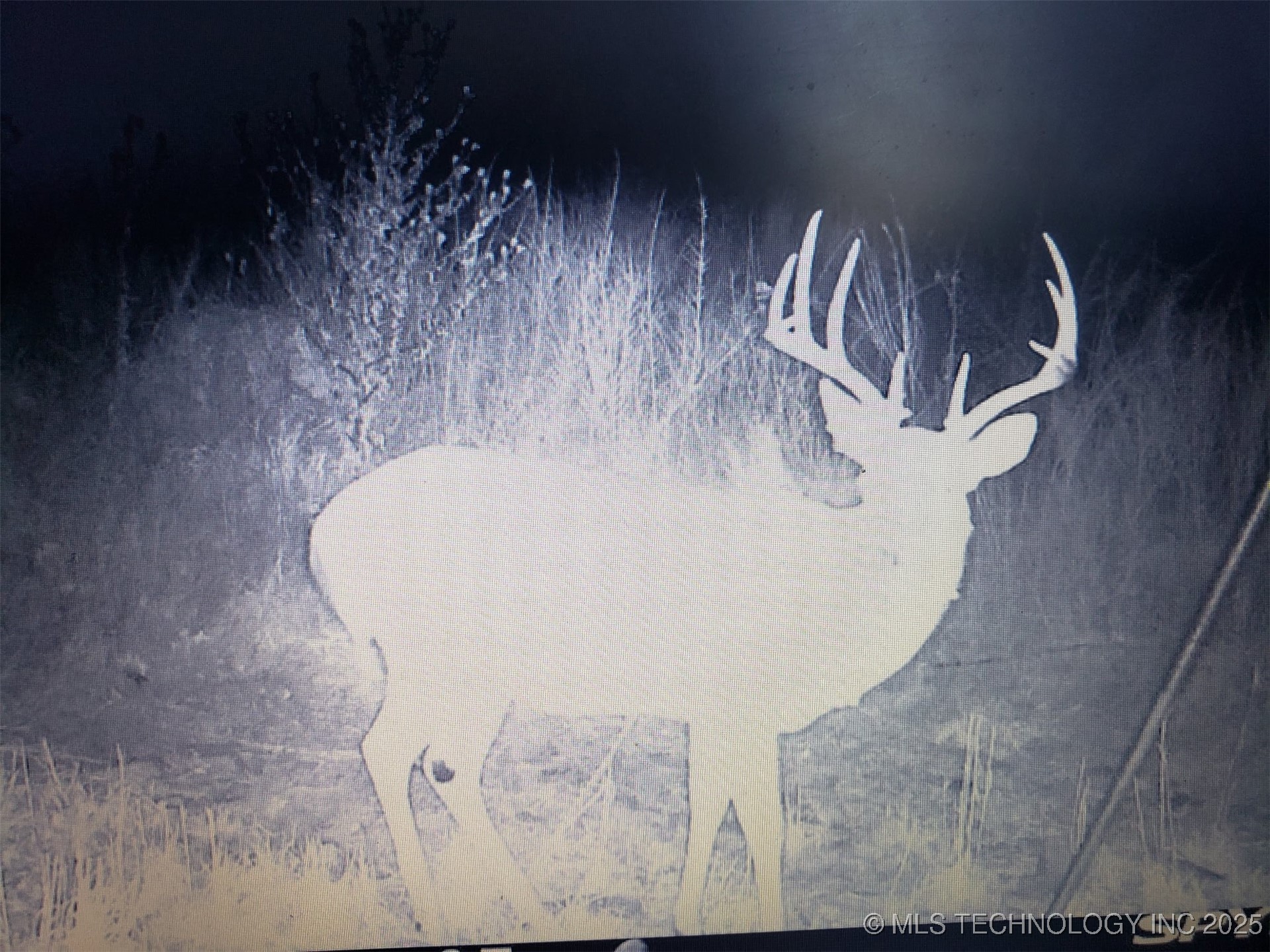 2 Nw 196th Road Property Photo 11