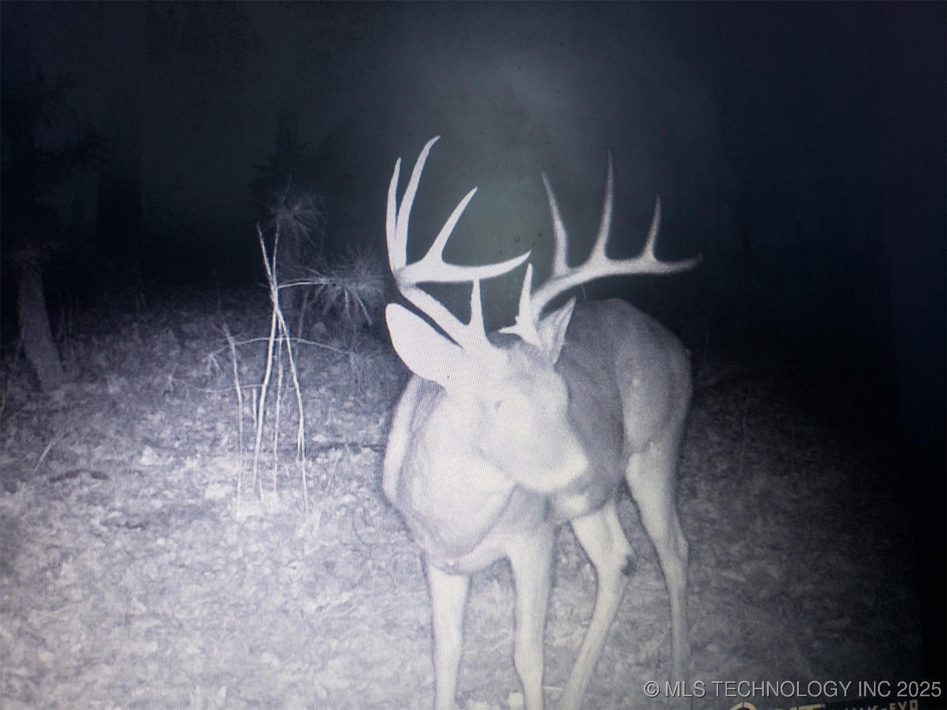 2 Nw 196th Road Property Photo 12