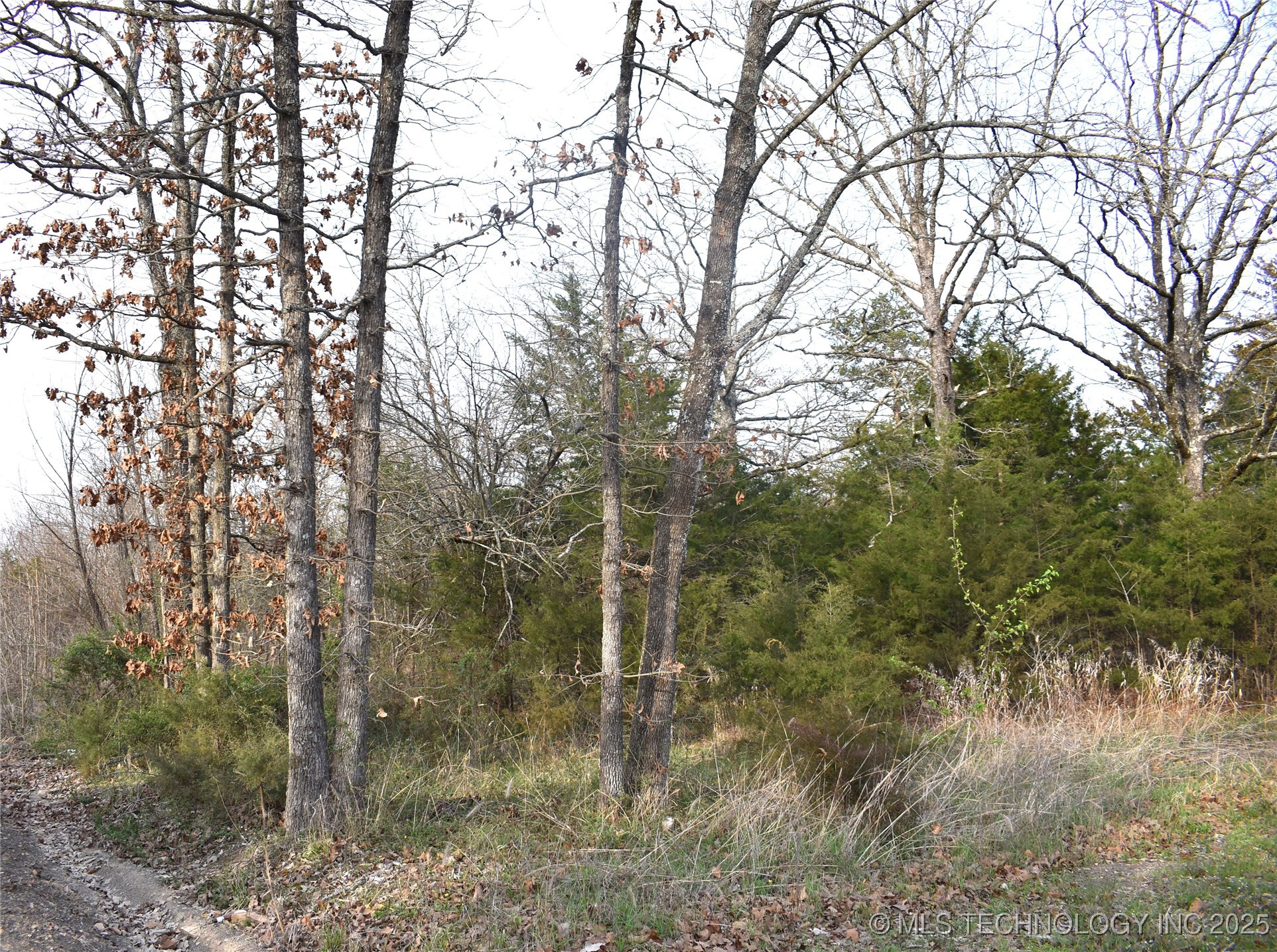 1 W Sweet Gum Drive Property Photo 1