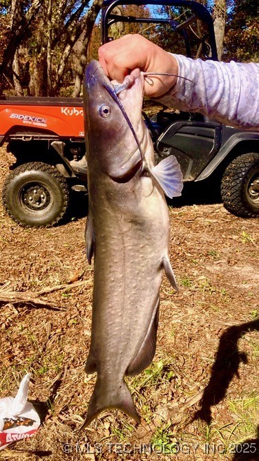 16930 W 84th Street S Property Photo 74