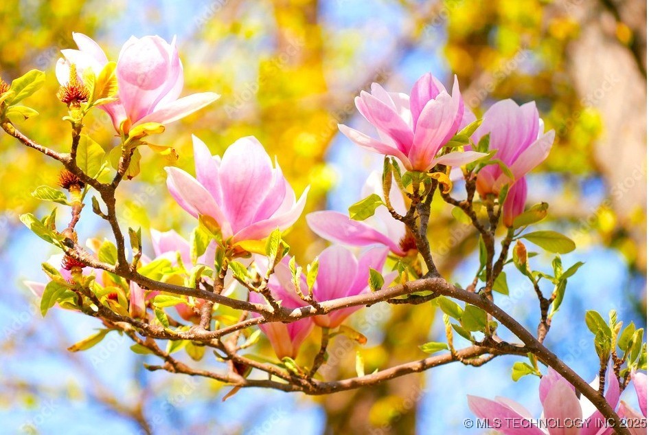 1302 S Elwood Avenue Property Photo 4