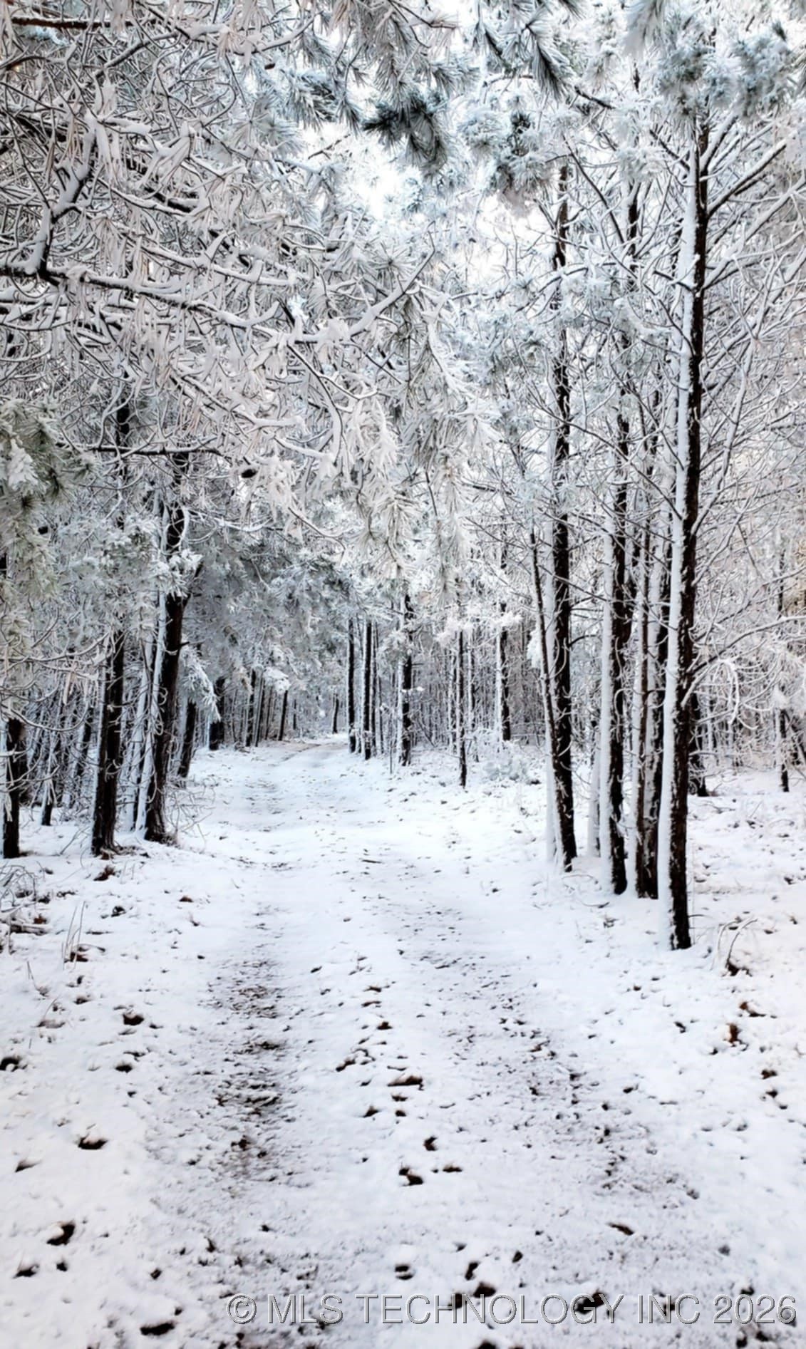 49536 State Highway 82 Property Photo 7