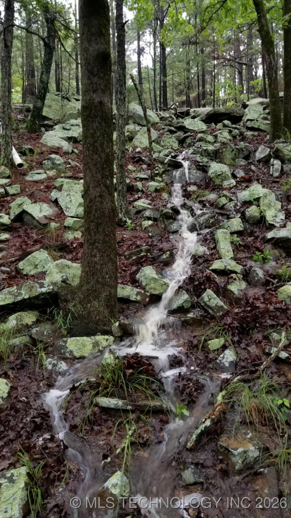 49536 State Highway 82 Property Photo 8