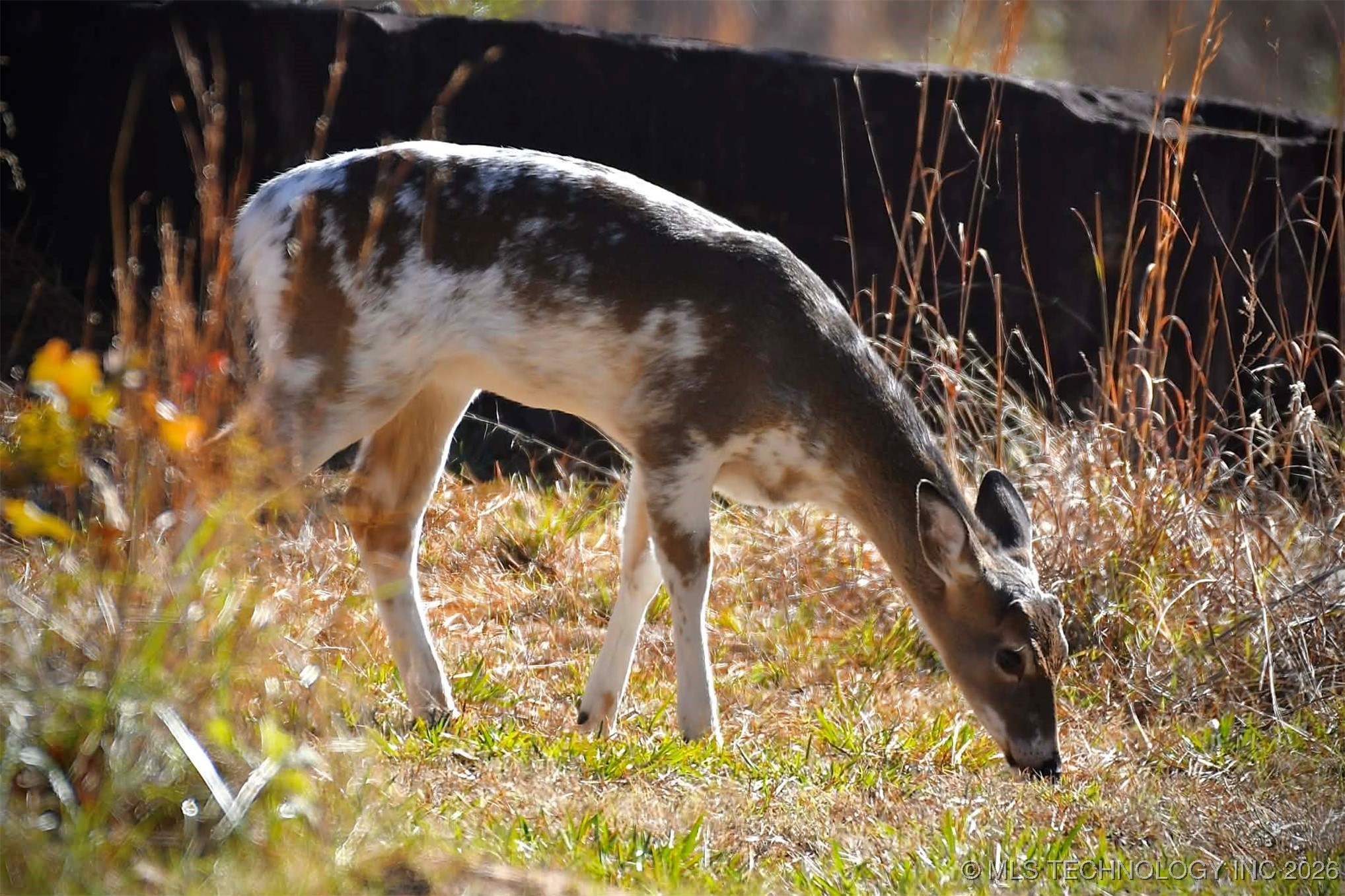 49536 State Highway 82 Property Photo 12