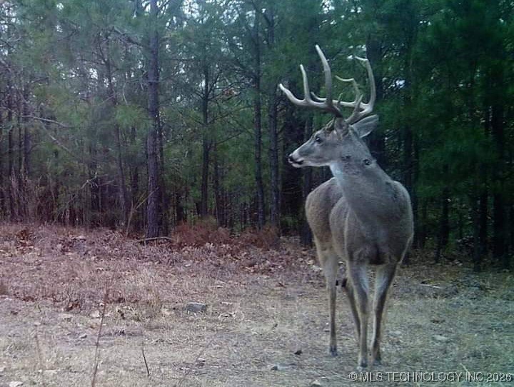 49536 State Highway 82 Property Photo 13