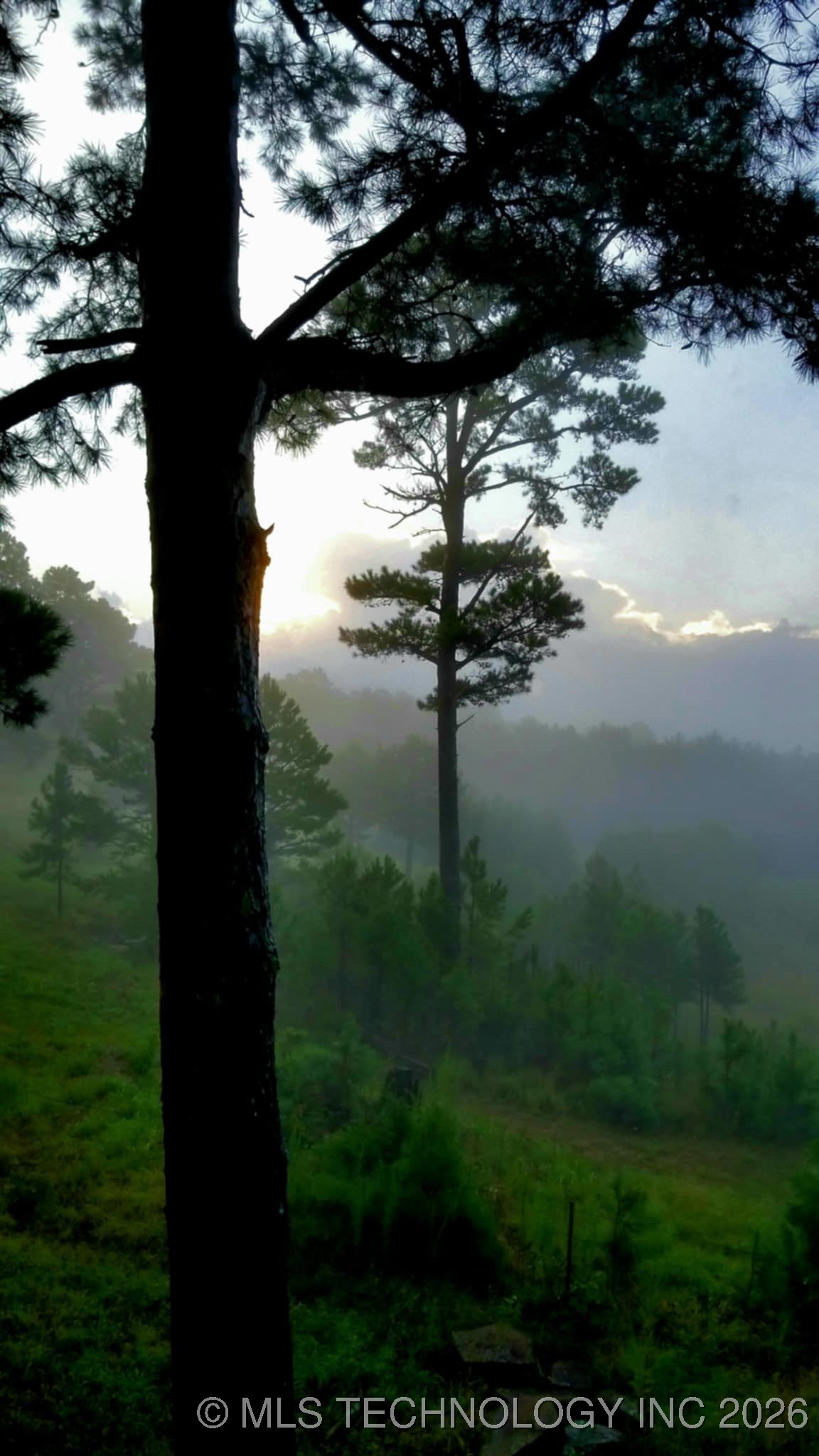 49536 State Highway 82 Property Photo 15