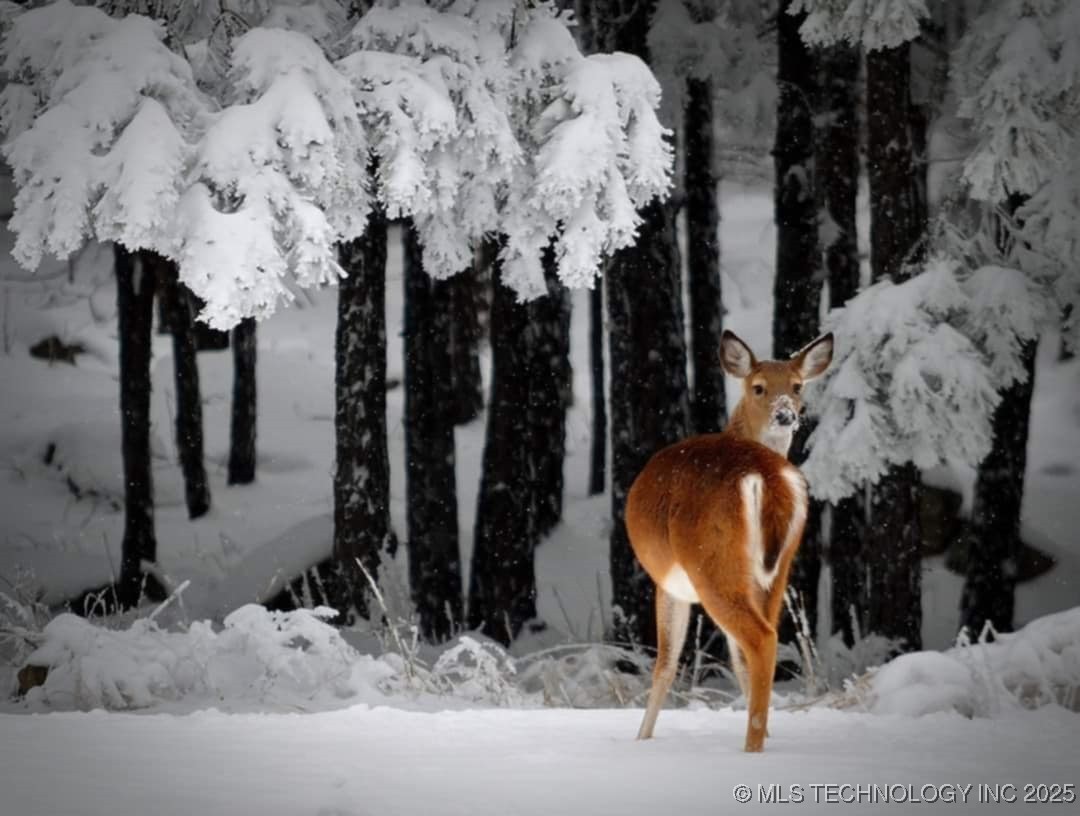 49536 State Highway 82 Property Photo 16